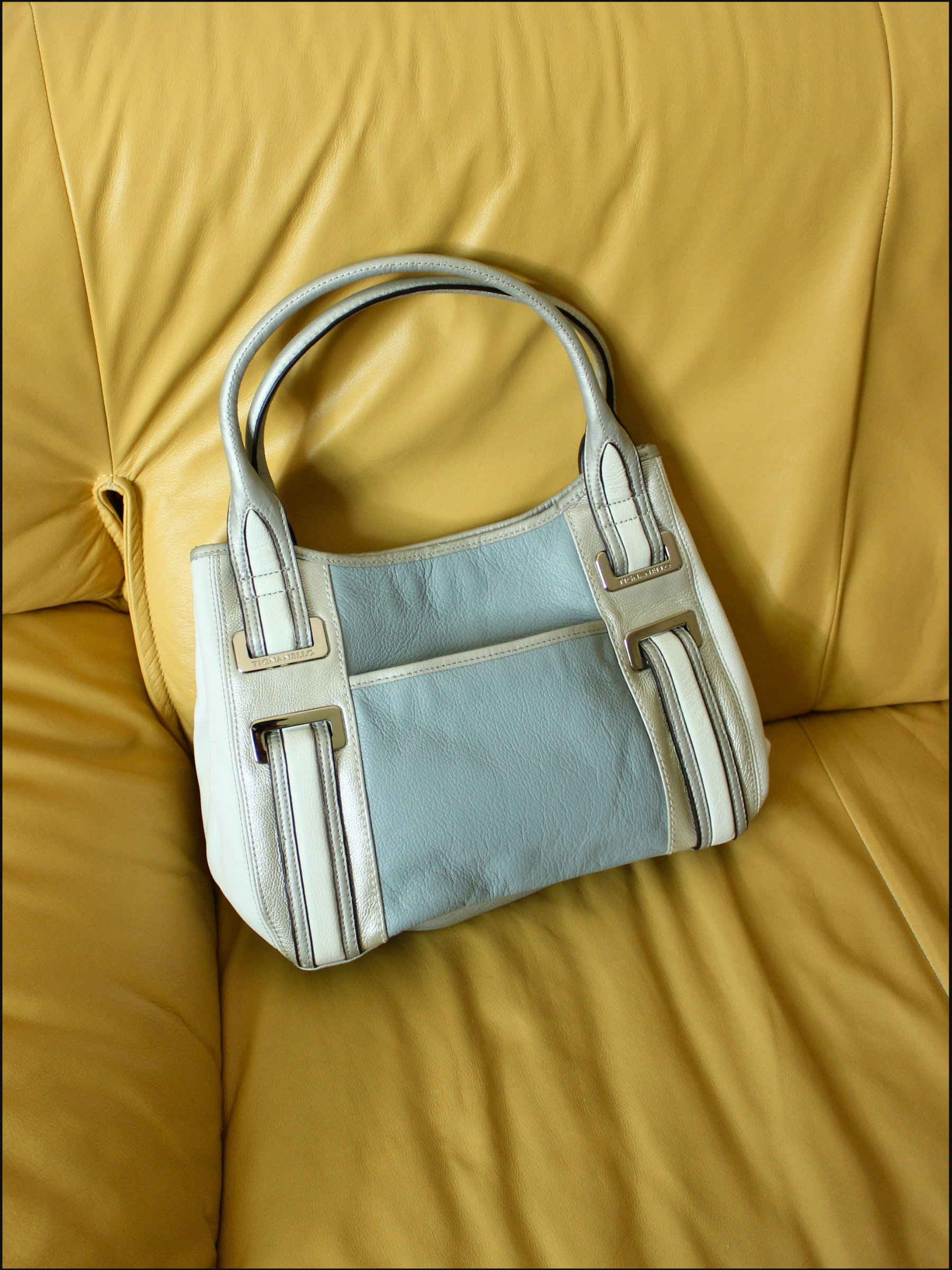 blue silver bag cover (4).png