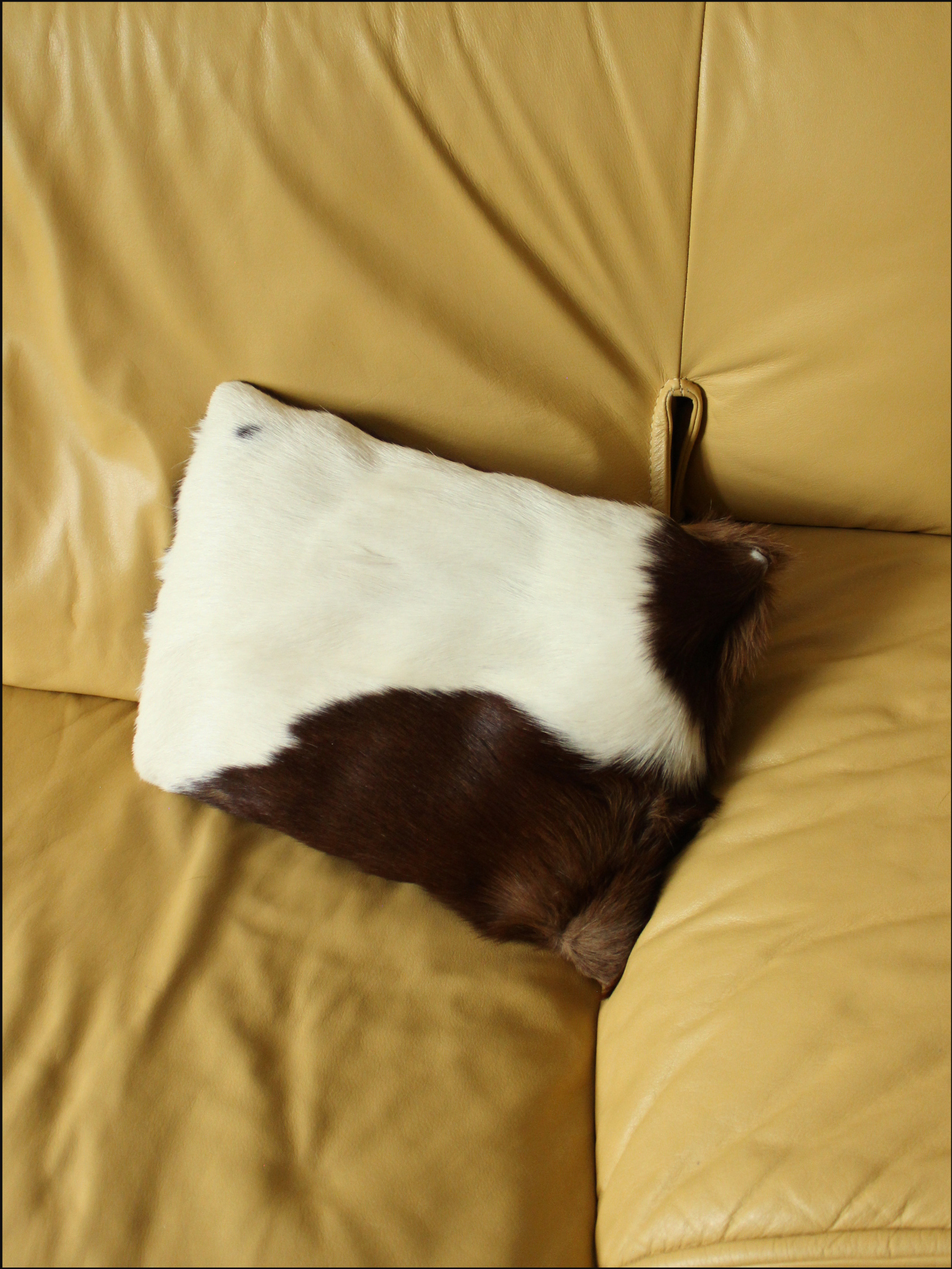 fur pillow cover (3).png