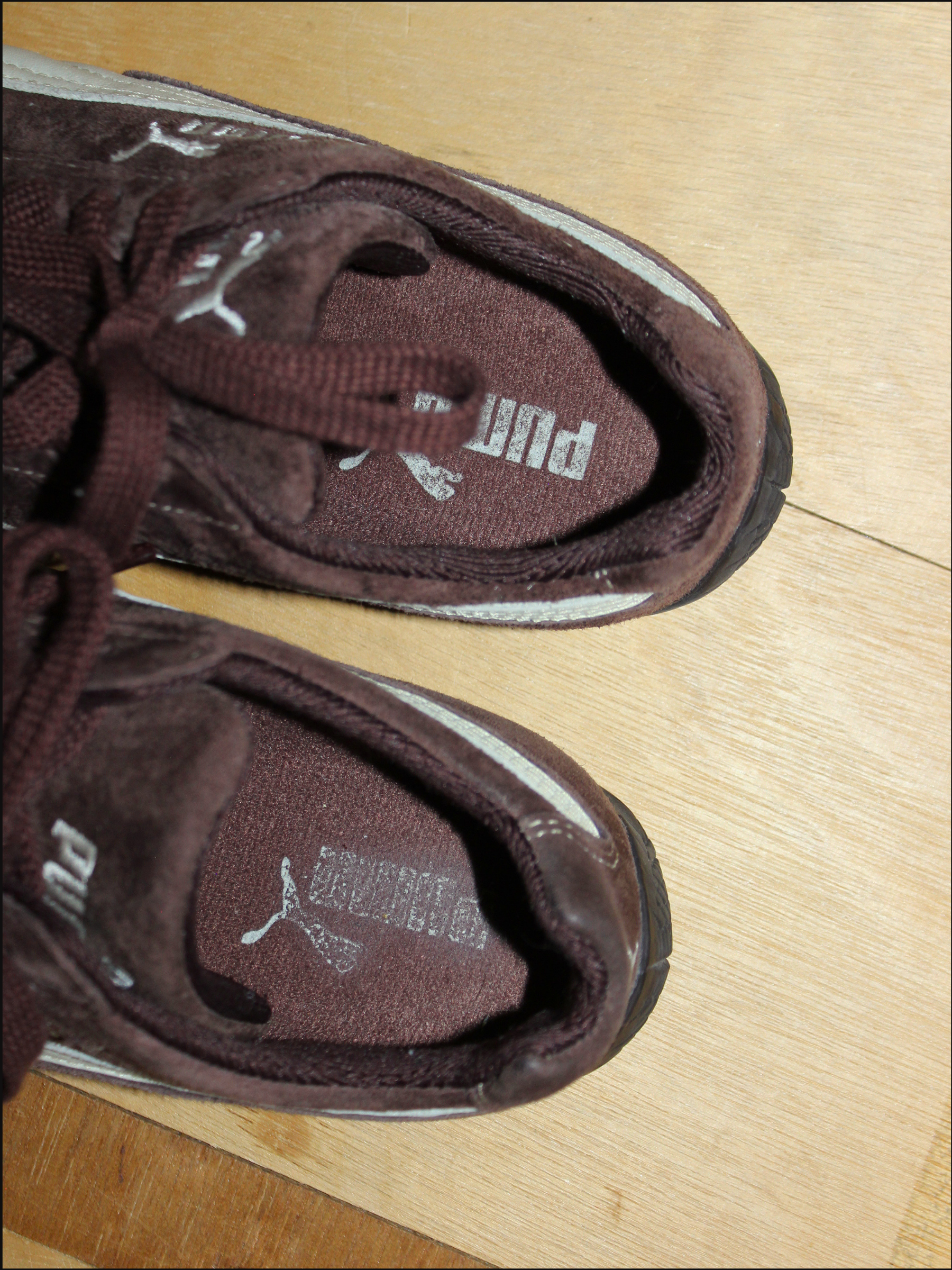 brown pumas cover (5).png