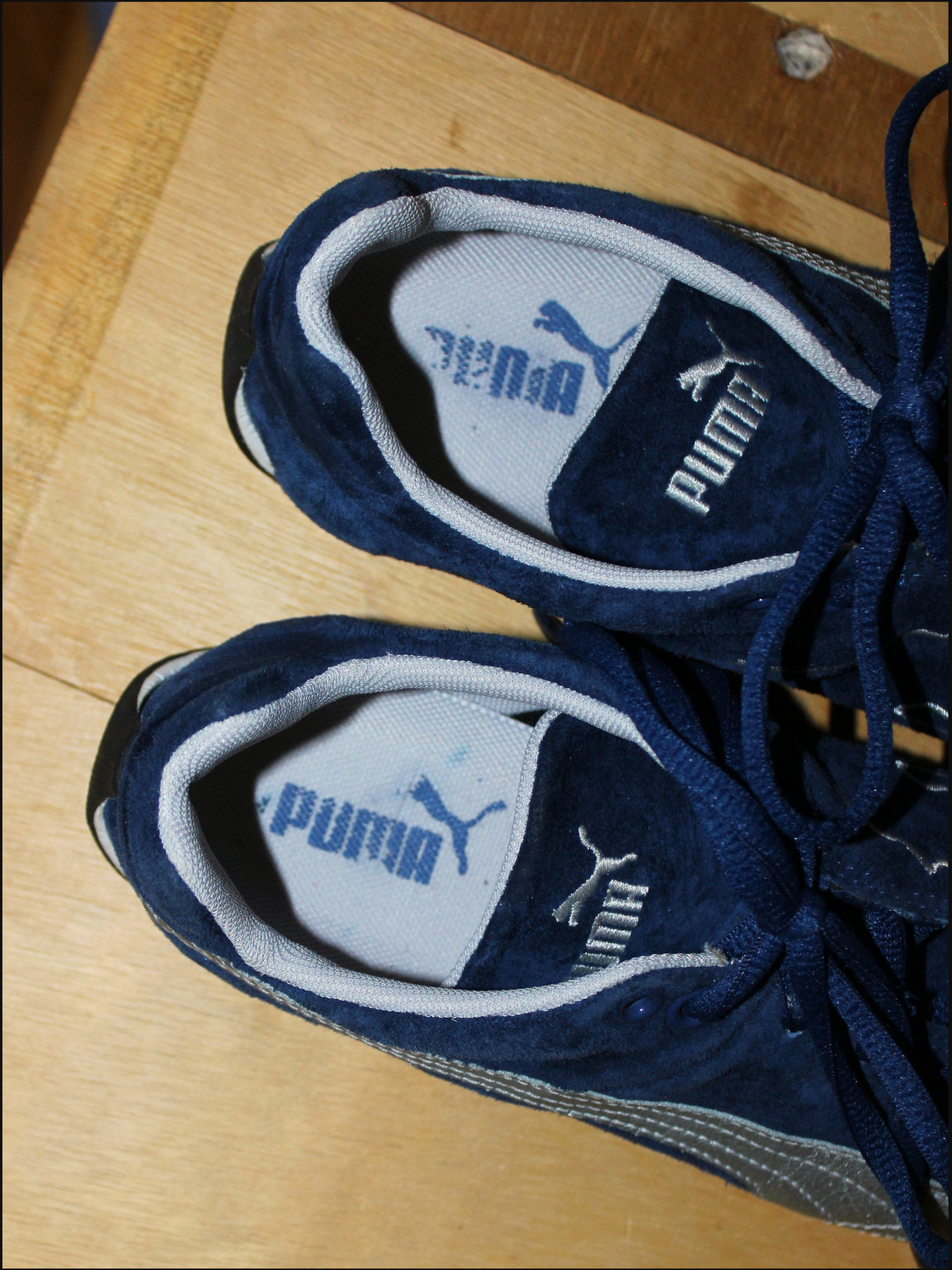 blue pumas cover (4).png