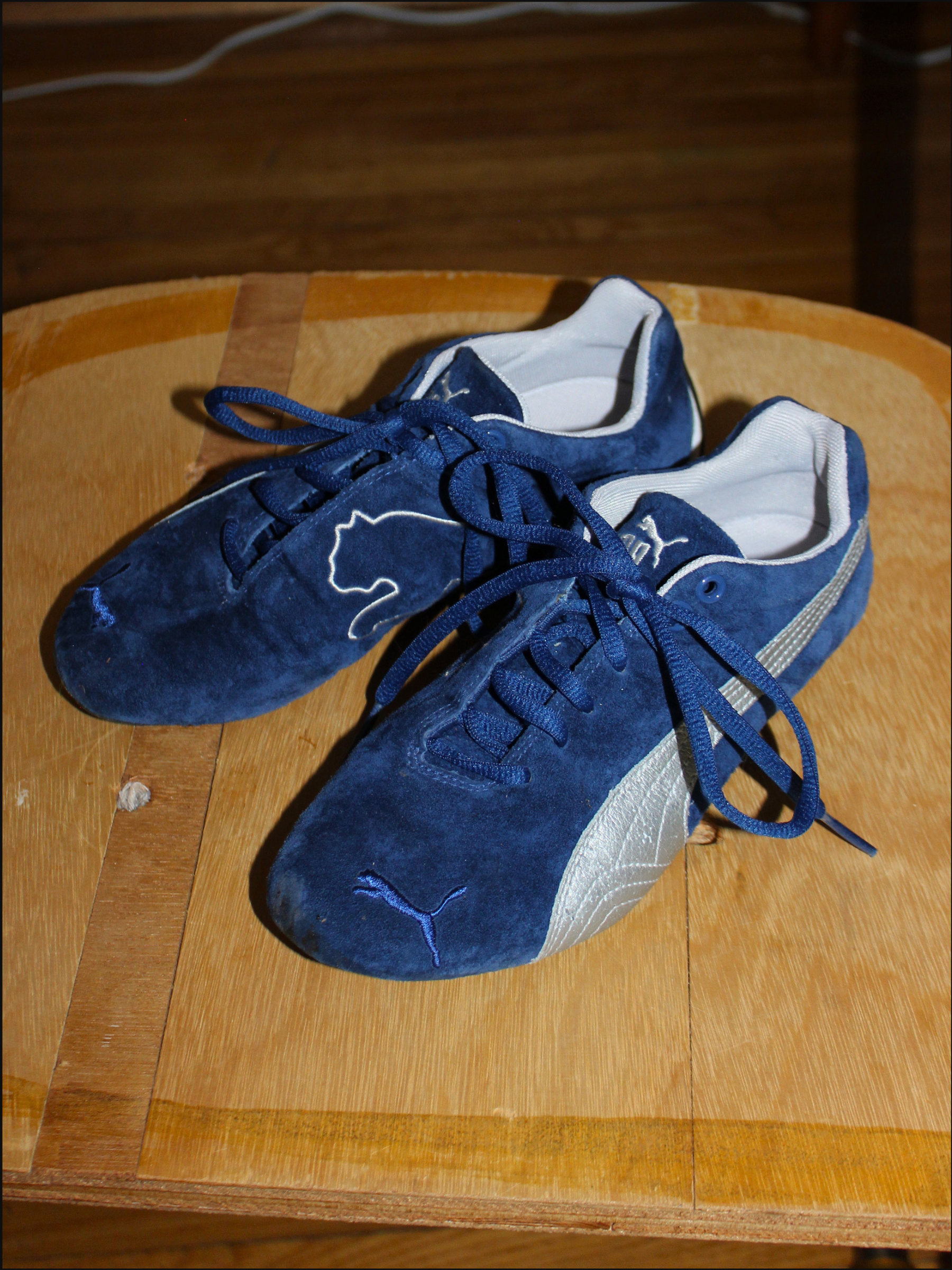 blue pumas cover (6).png