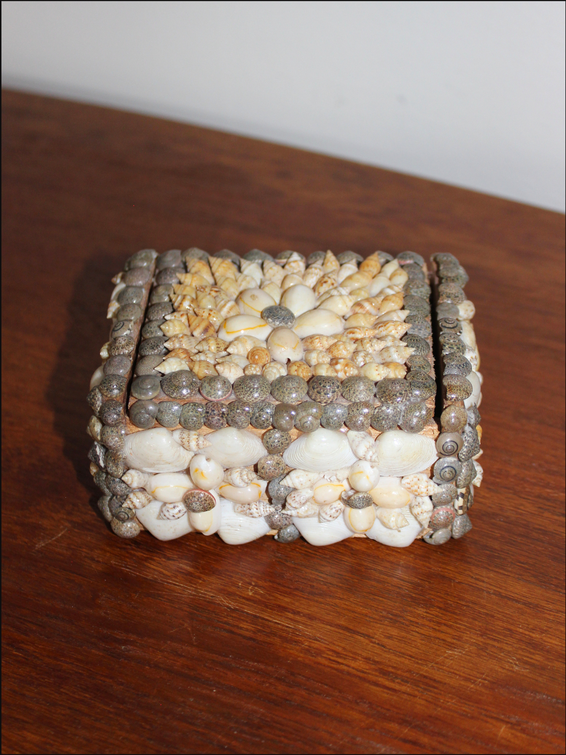 shell box cover (4).png