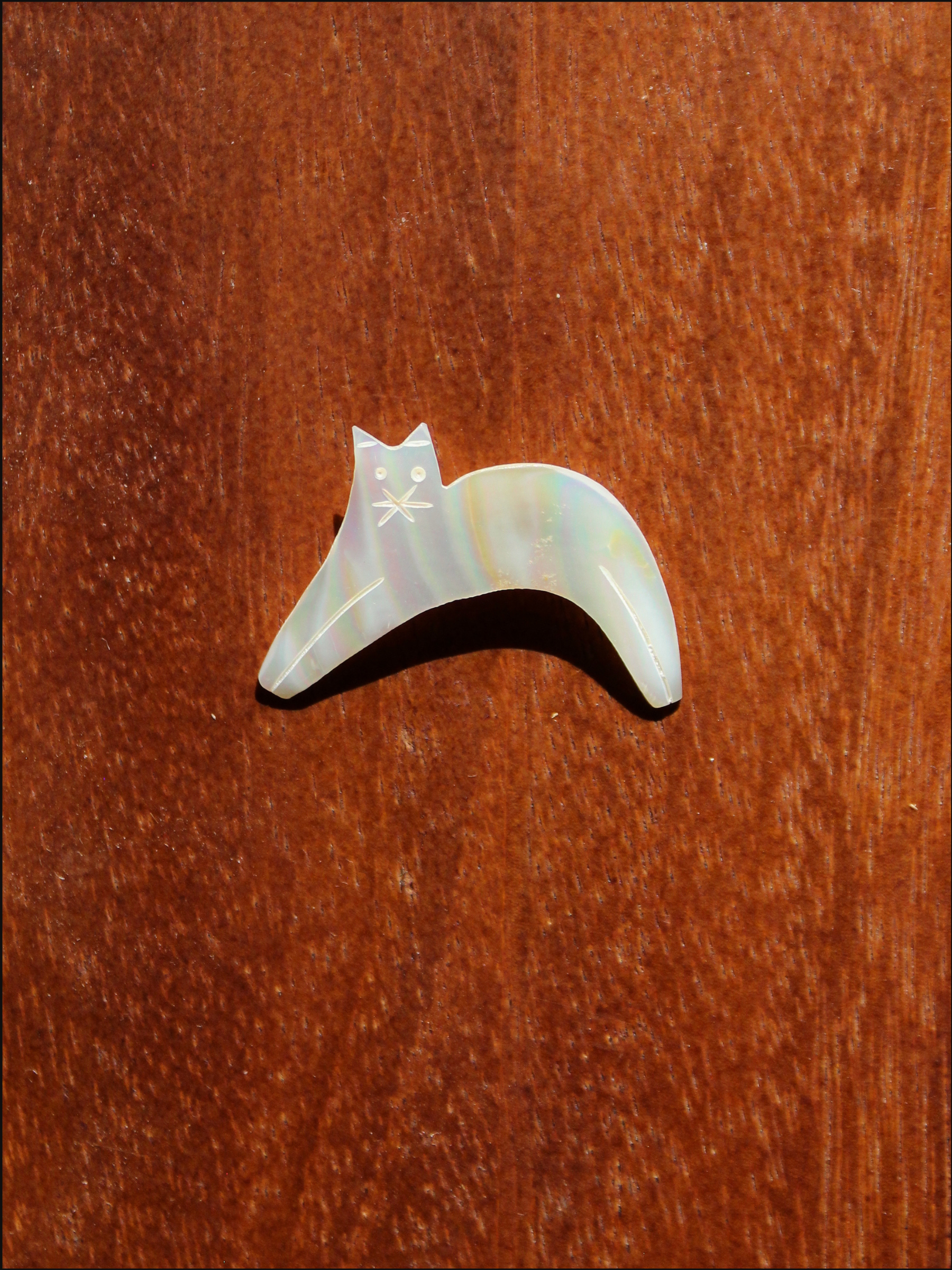 kitty shell pin cover.png