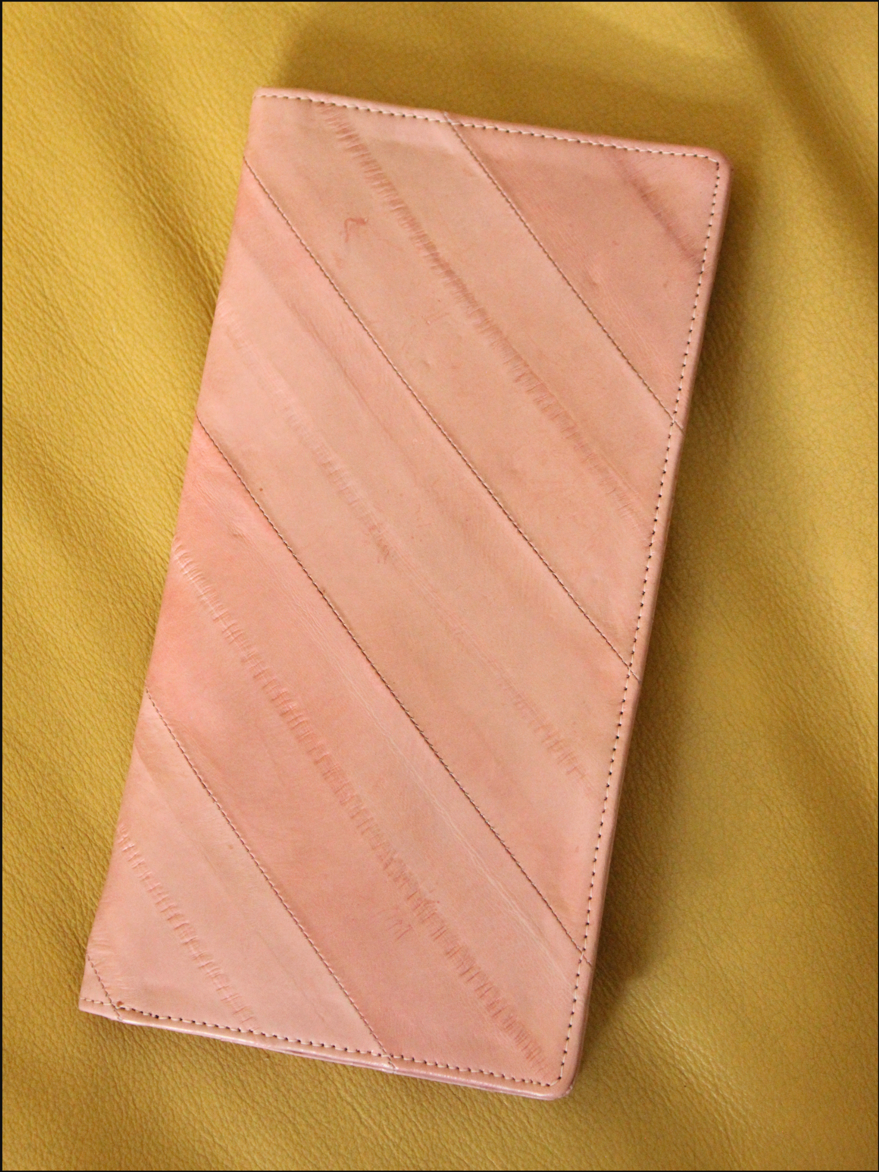 pink eel cover.png