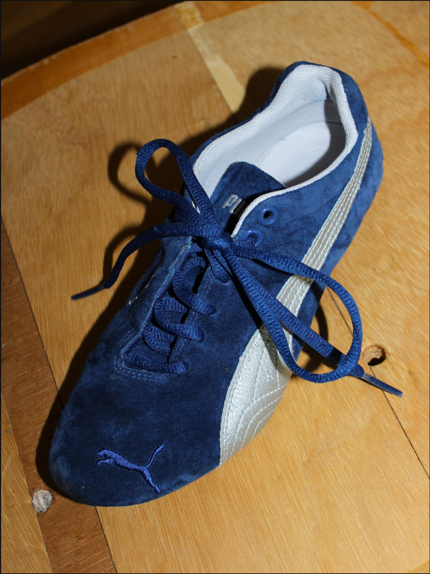 blue pumas cover (2).png
