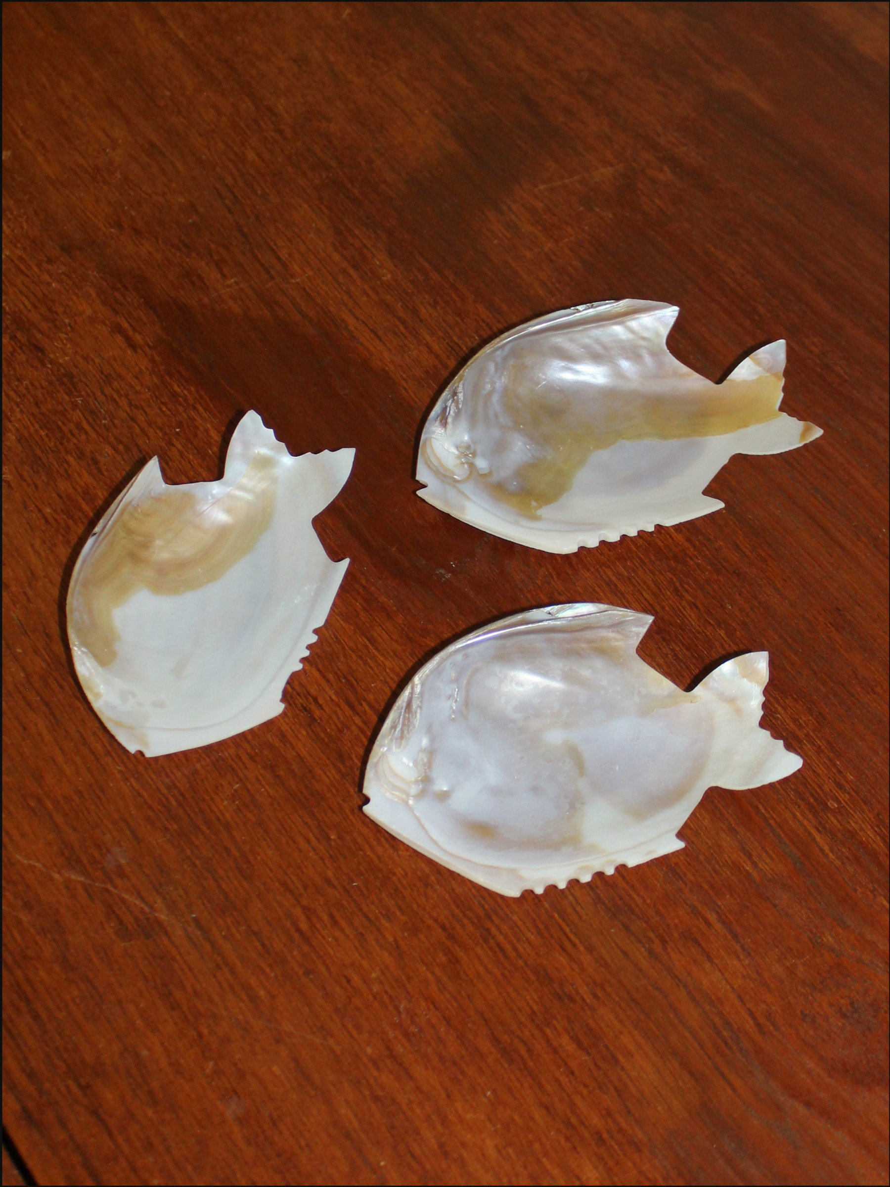shell fish dish cover (12).png