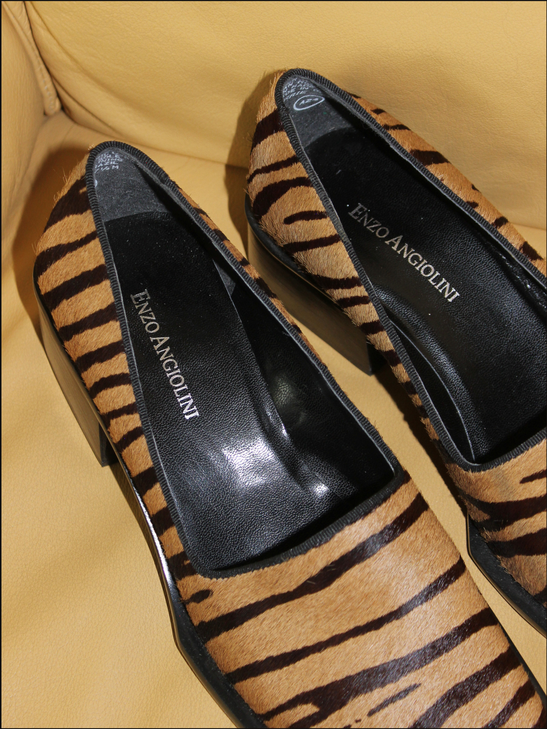 tiger shoes cover (2).png