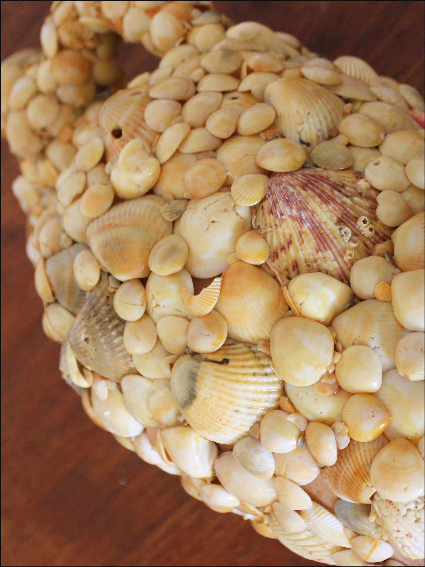shell vase cover (2).png