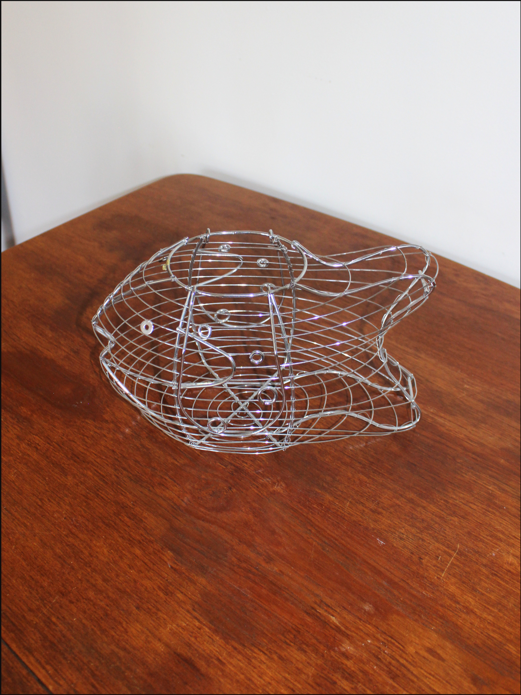 fish basket cover (5).png