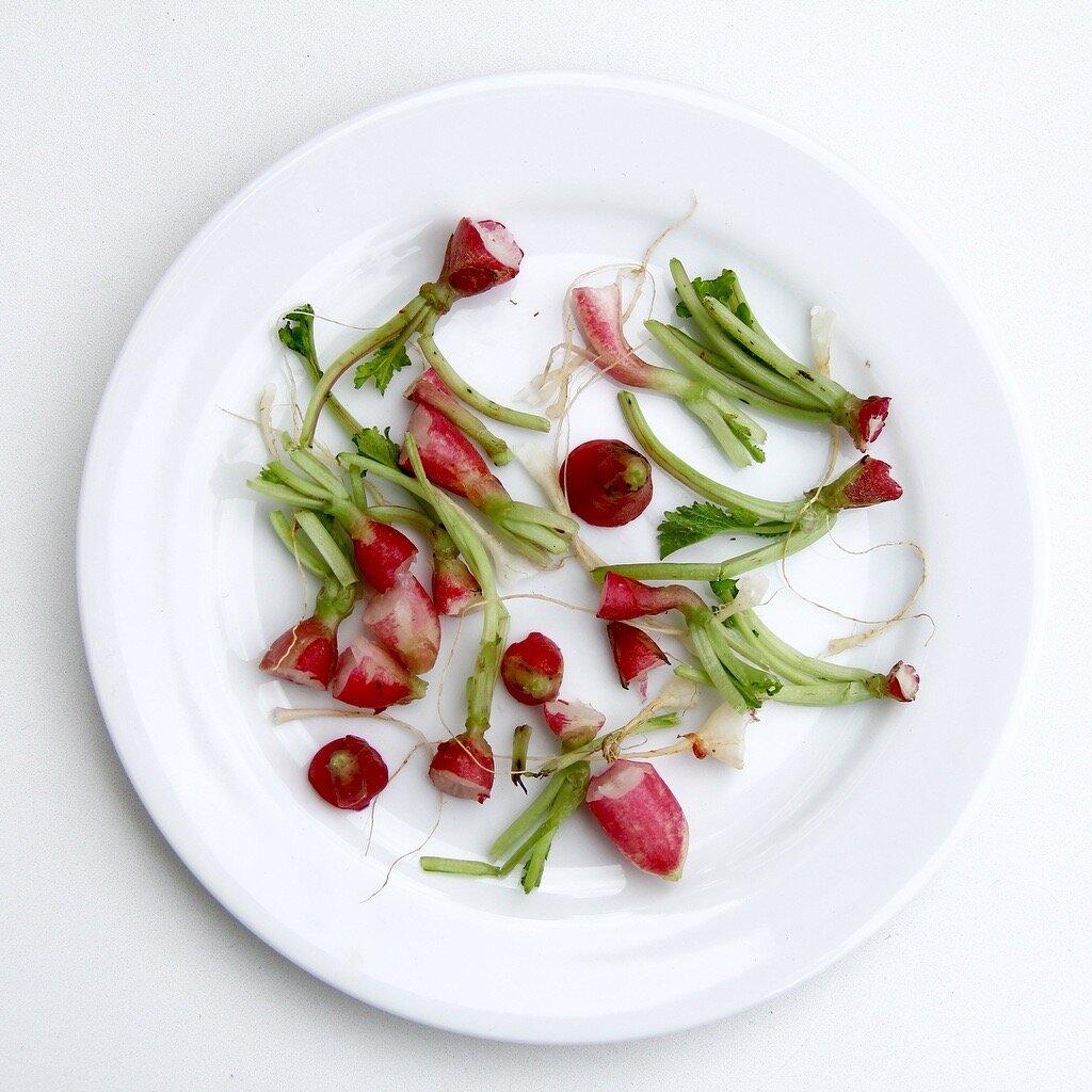 Salad Radish.jpg