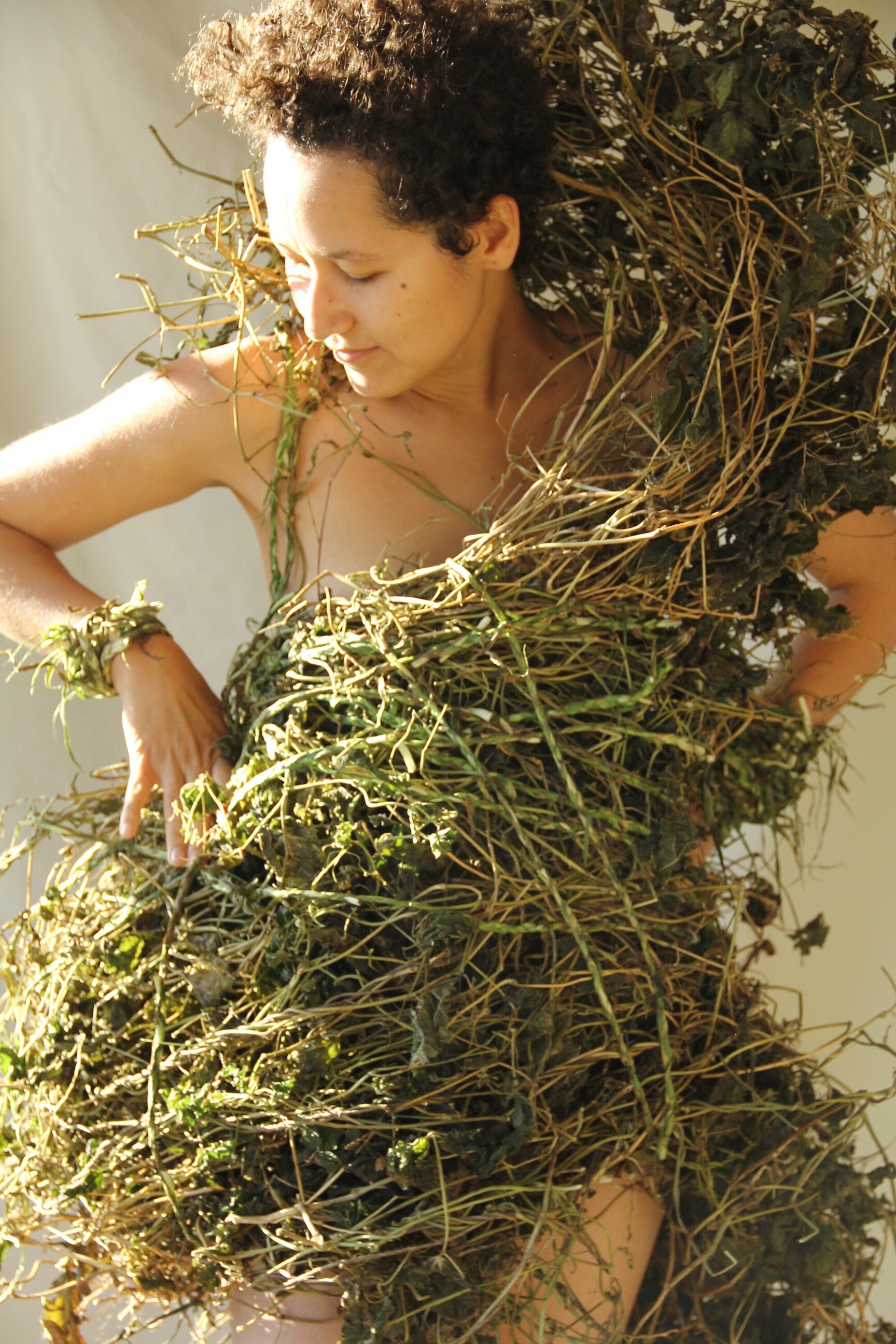 BeanVinesandSalsify2.jpg