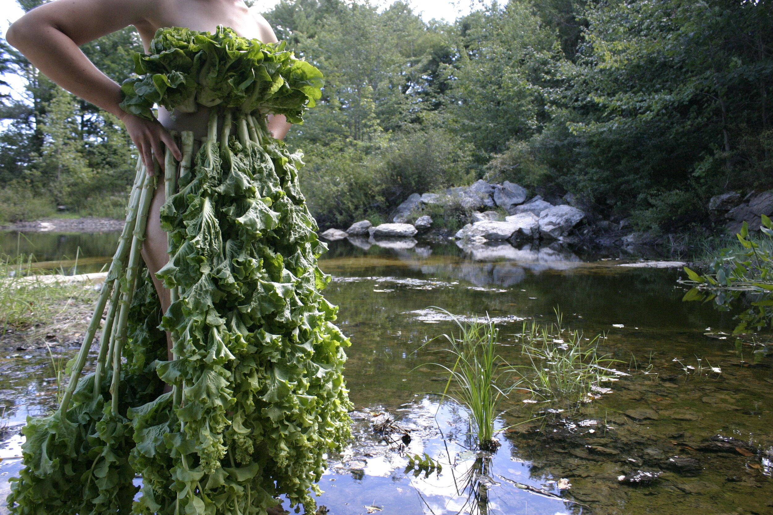 Bolted Lettuce.jpg