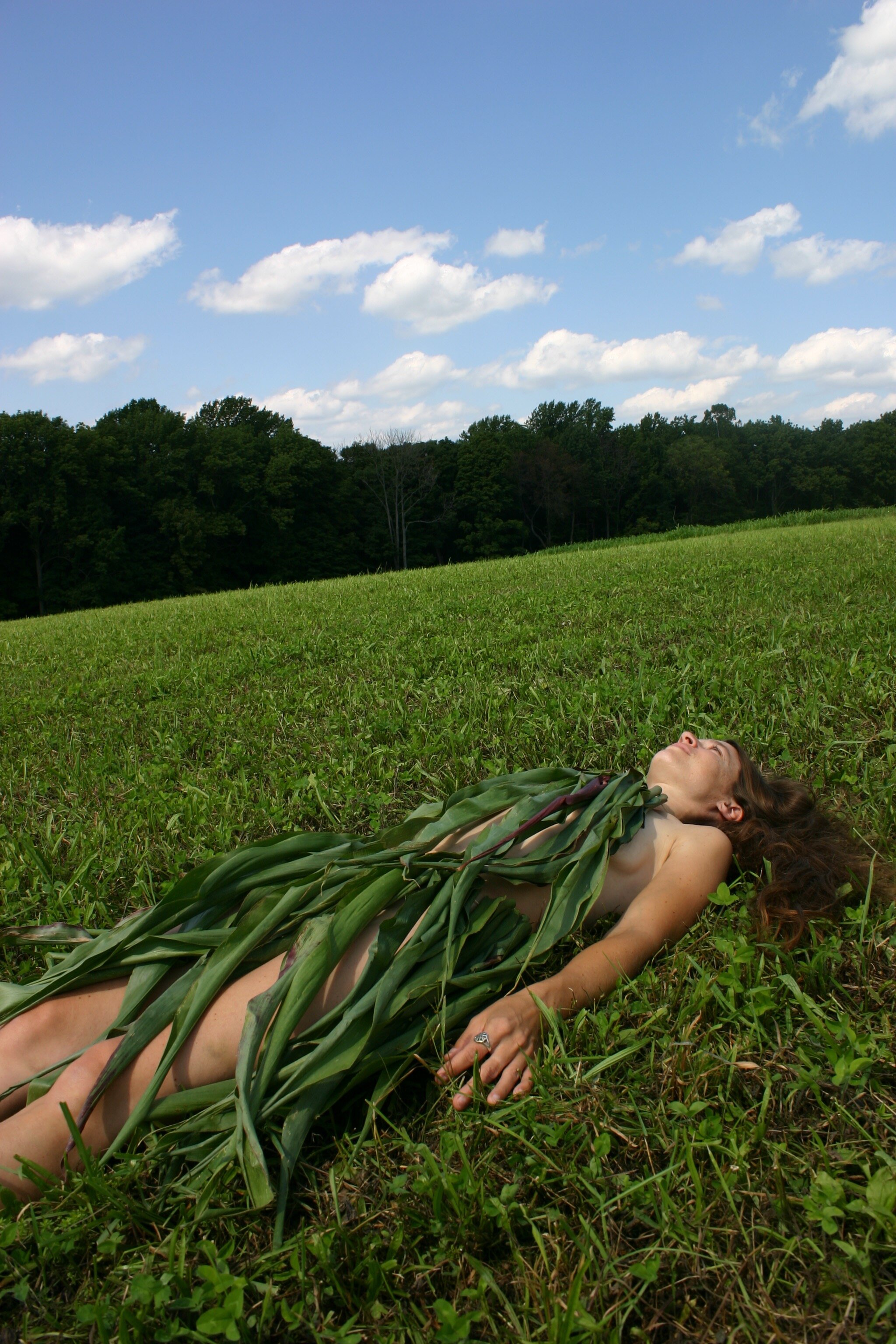 Corn 1.jpg