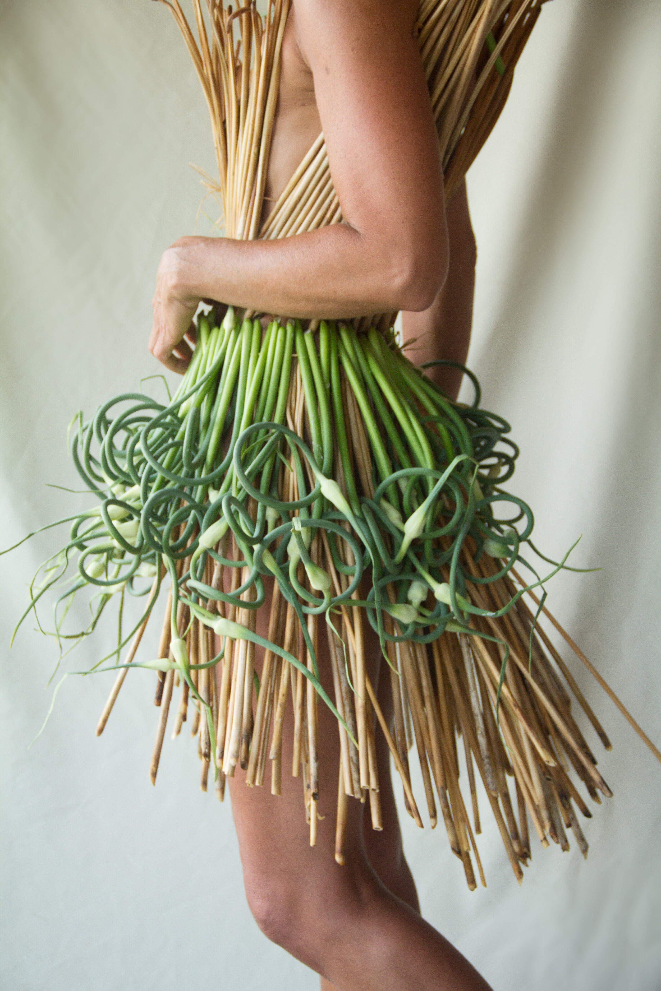 Garlic Scapes 2 copy.jpg
