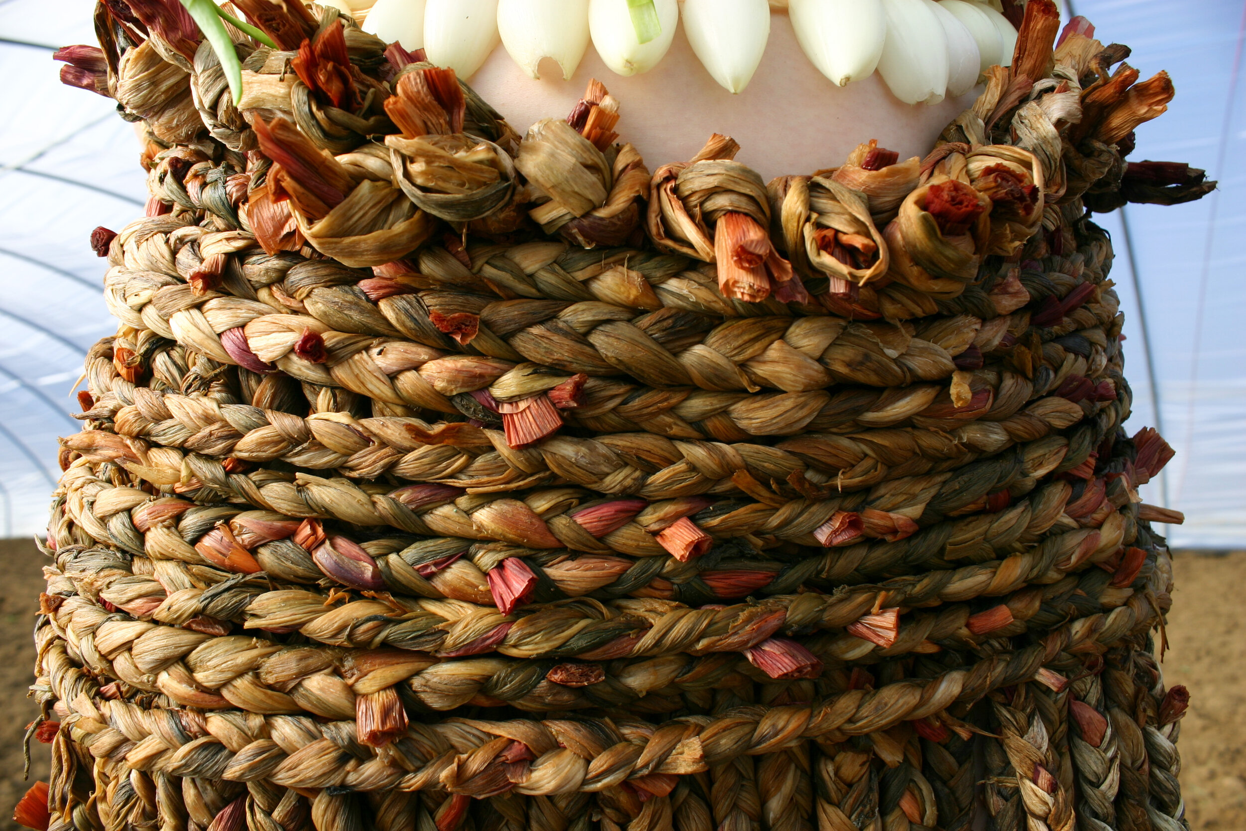 OnionTrio 2.jpg