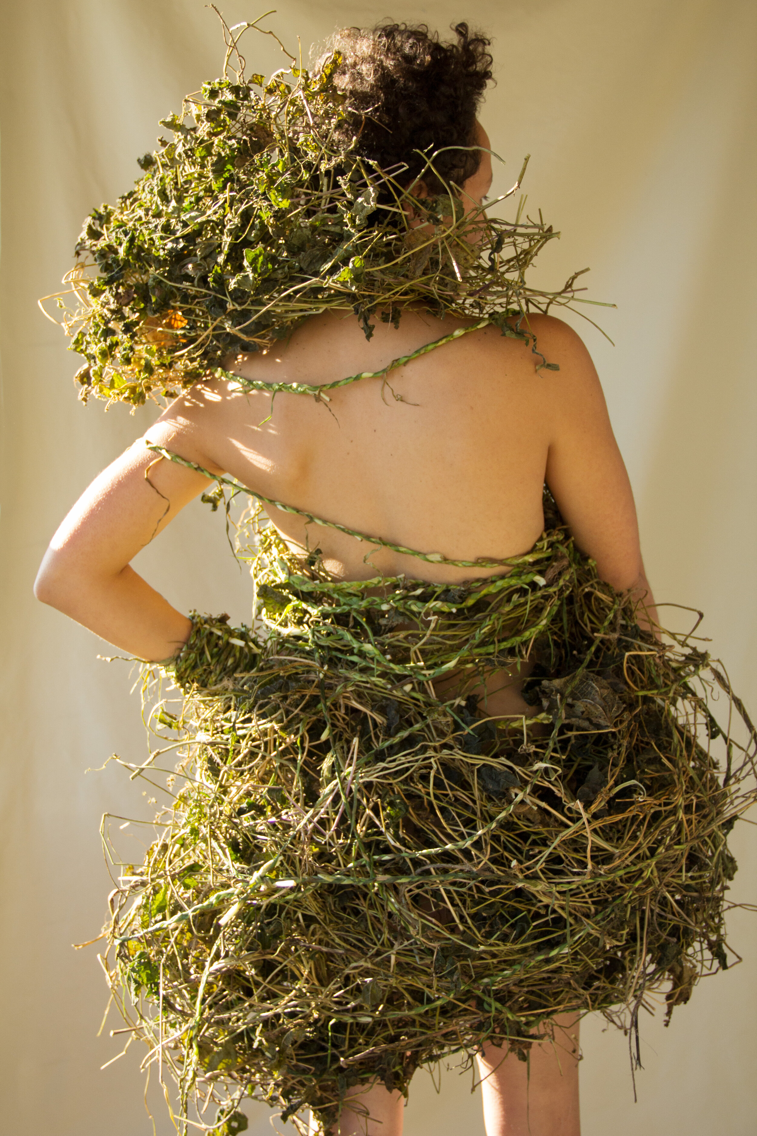 Bean Vines and Salsify 2 .jpg