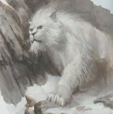 Rime of the Frostmaiden - Episode 5 - Cats, Dragons, and Yetis