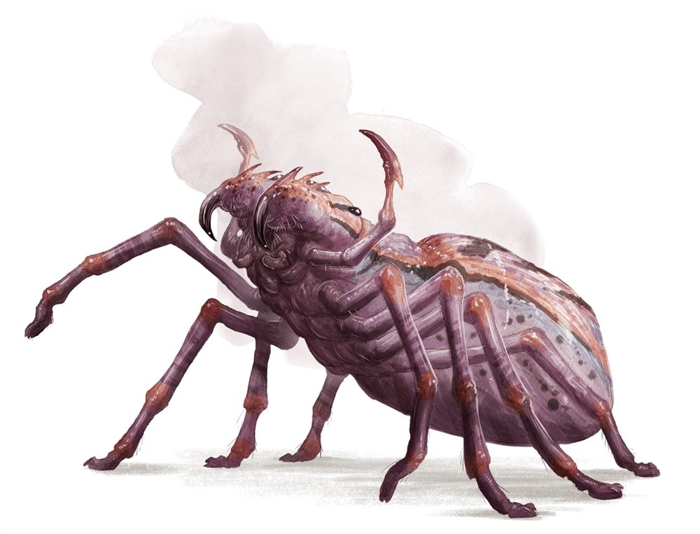 The Call of the Neverdeep - Episode 2 - Spider Trouble