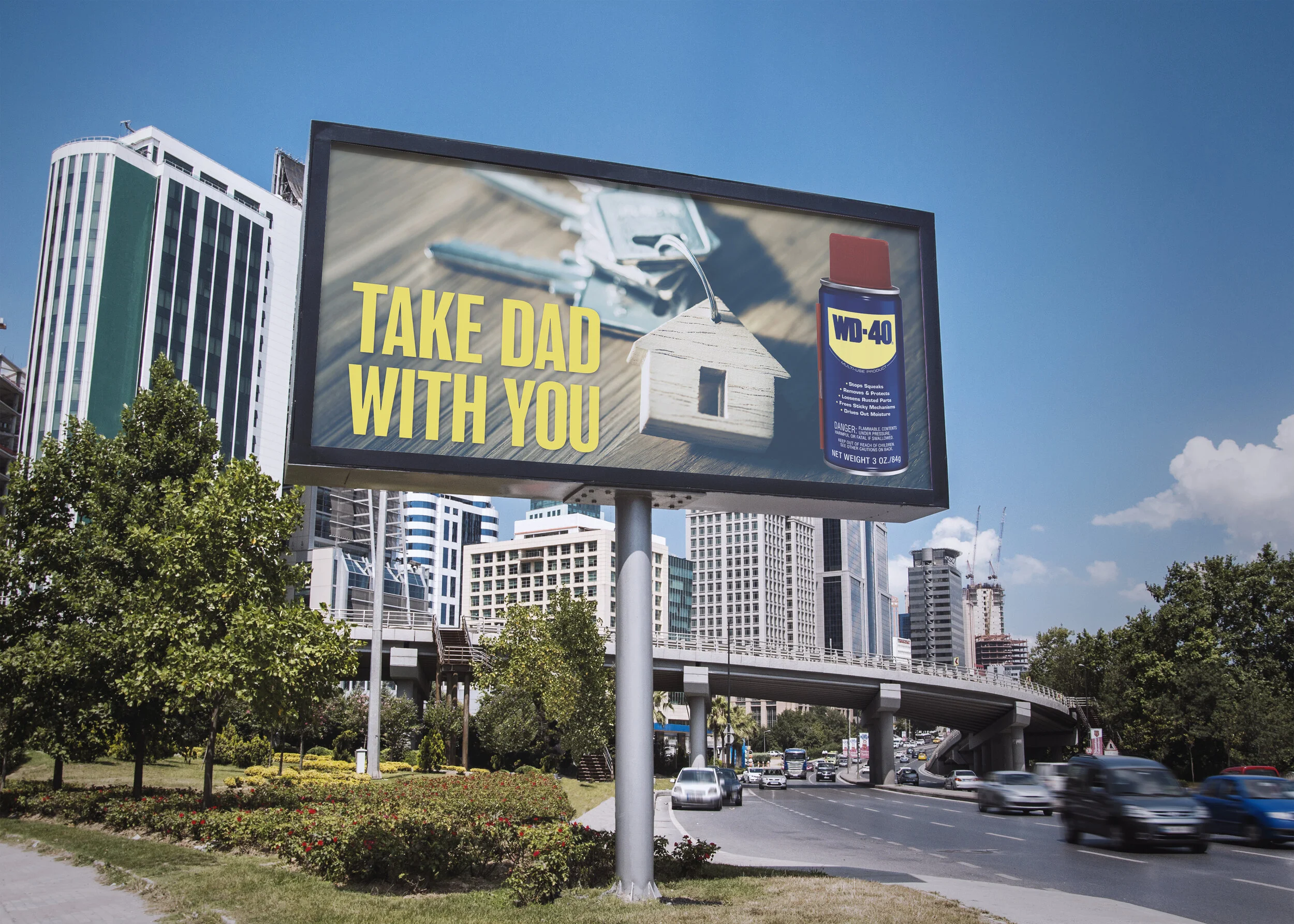 Take Dad With You