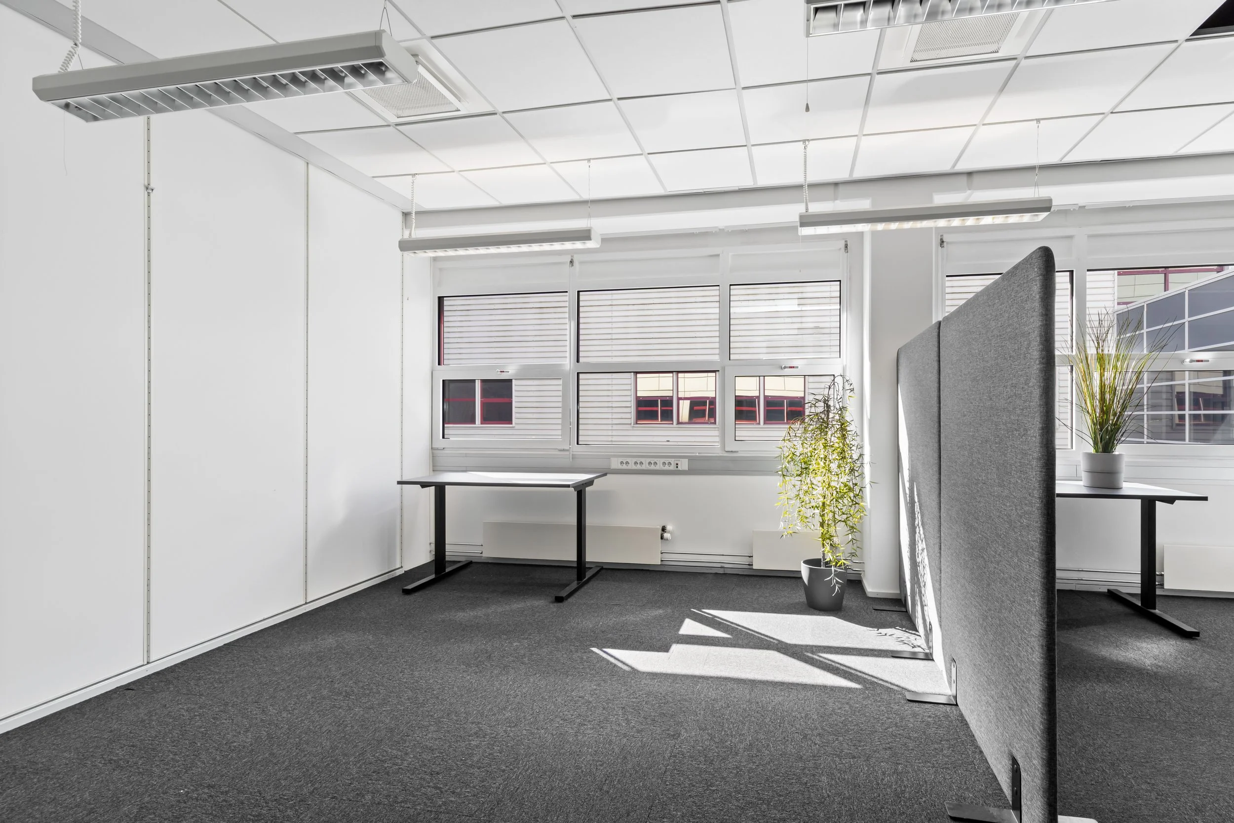 3W1A0237-2.jpg