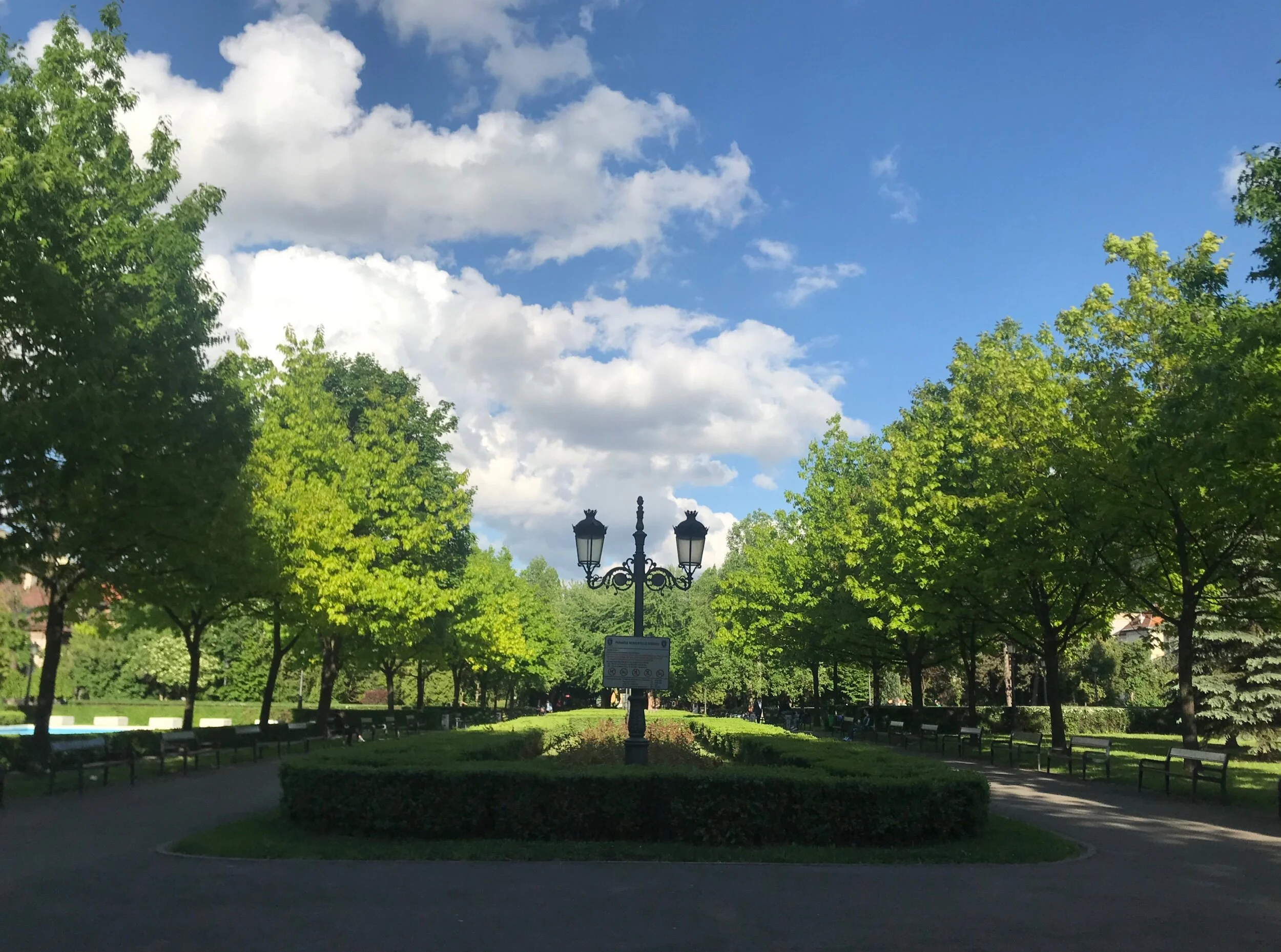 Such a pretty day at the park!