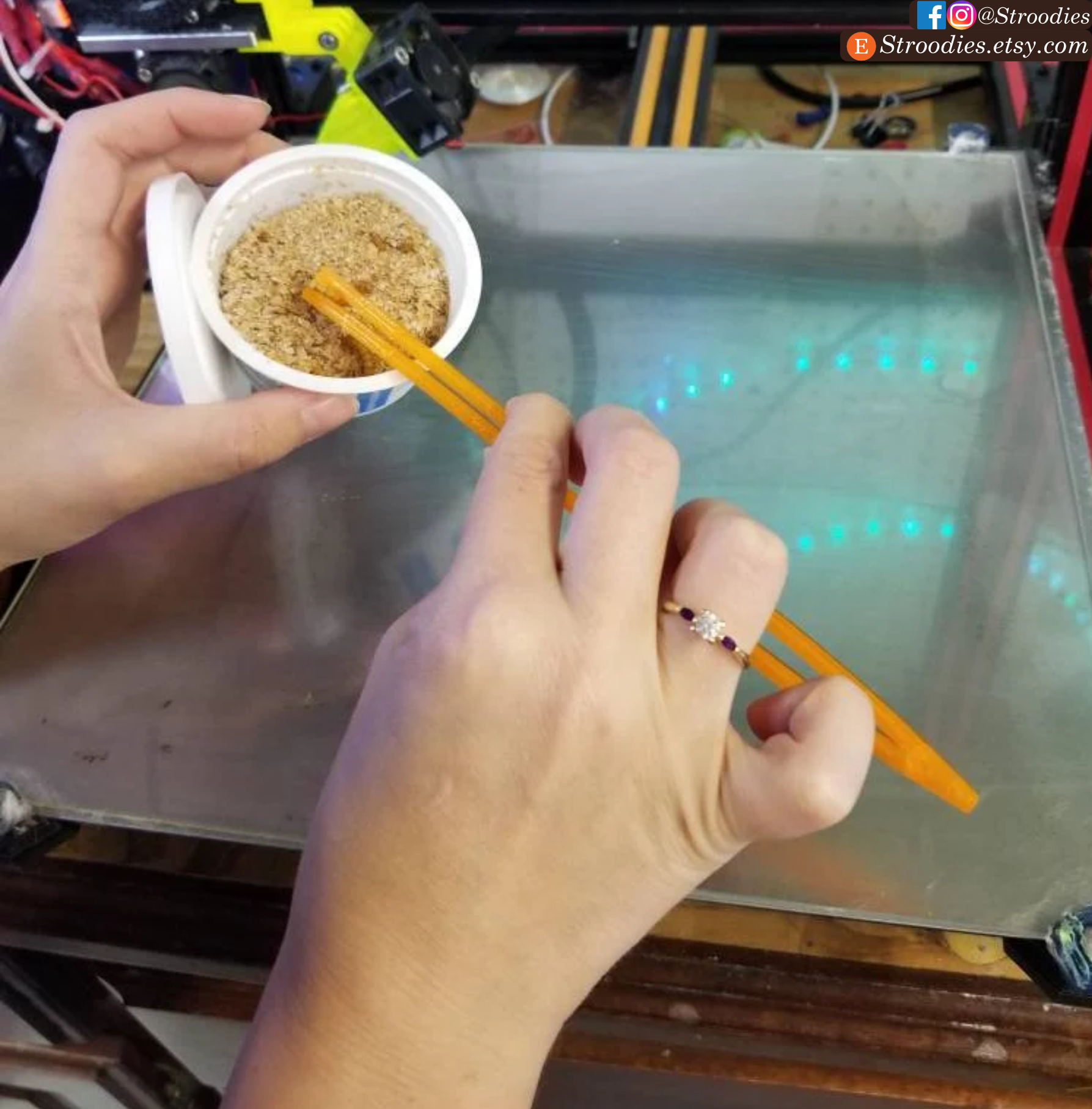 Stroodies Long Tongs for Feeding Geckos