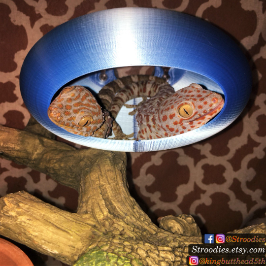 Stroodies Giant BubbleLoft (Includes Suction Cups)