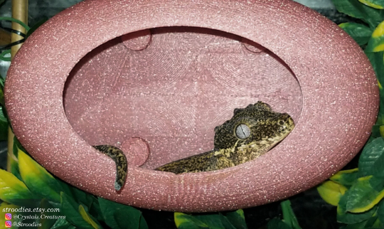 Stroodies MegaMagLoft (Giant Magnetic BubbleLoft)