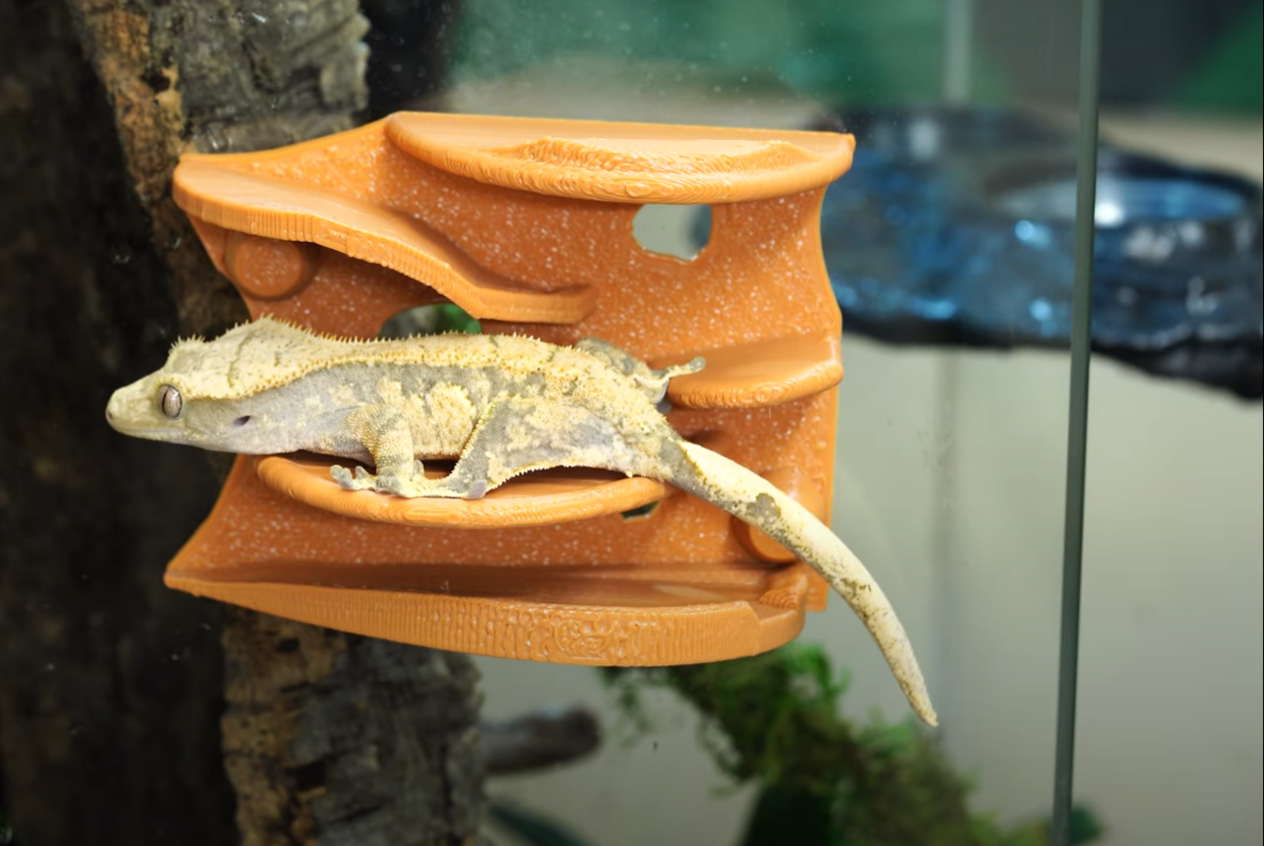 Cresties on a MagWall.PNG