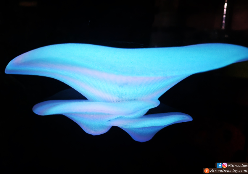 Glowing Rainbow Mushroom Ledge Single.png