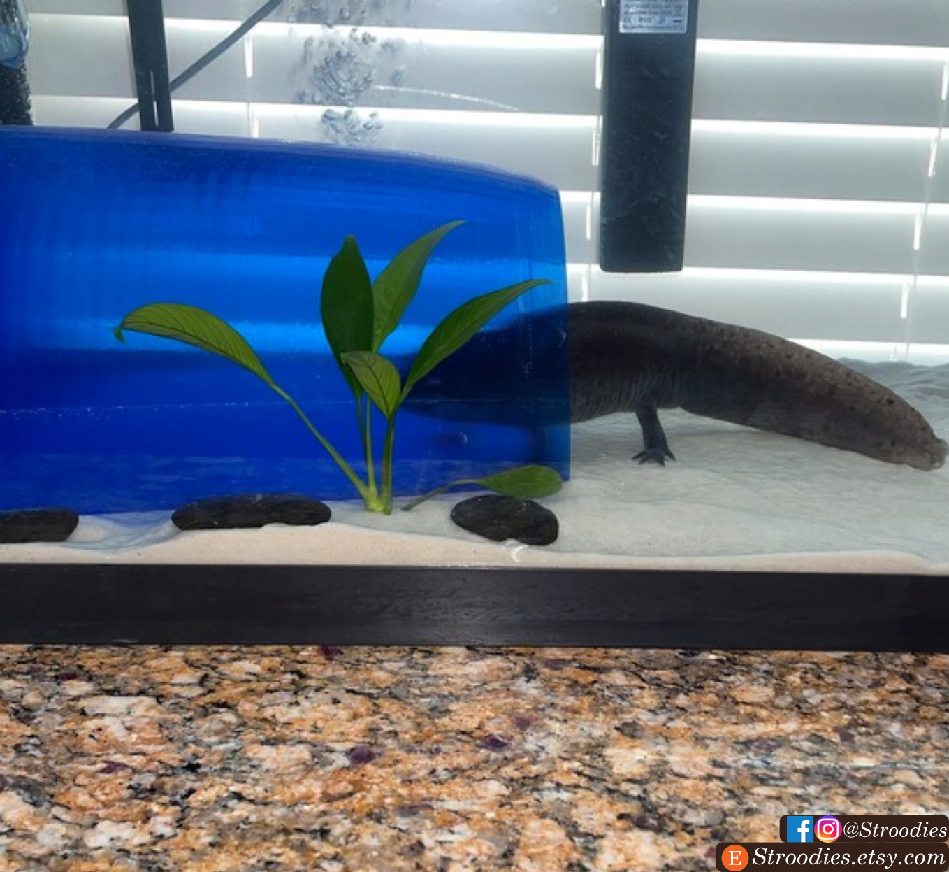 Lotl'Loft Axolotl Hide (Magnetic, AQ-Safe, & Unreasonably Large)