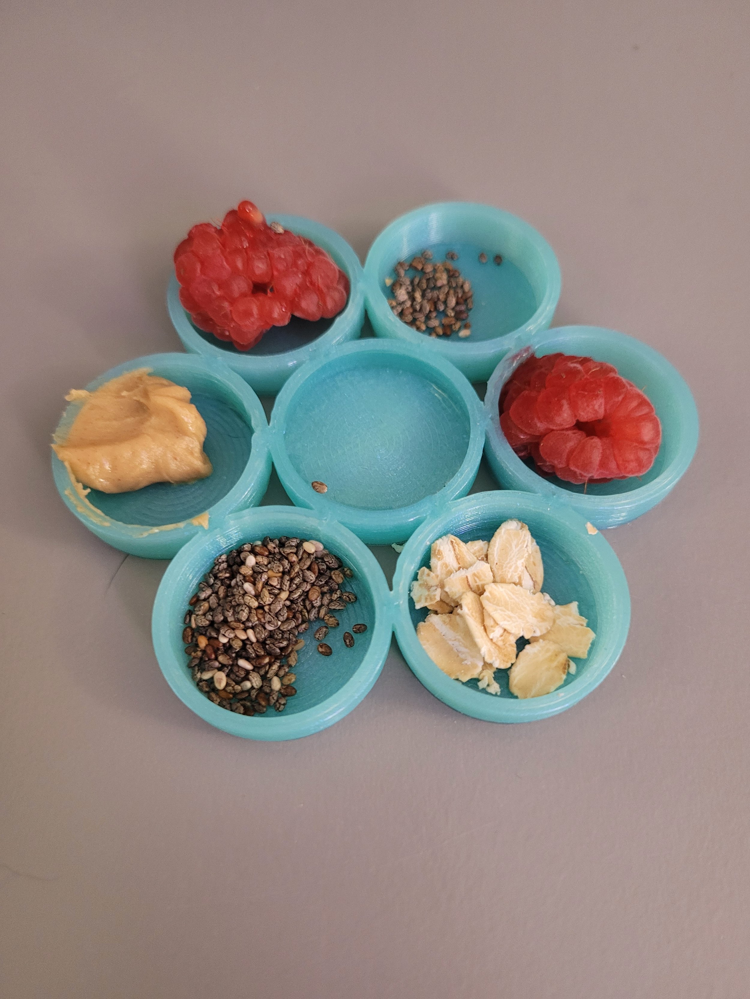 Stroodies Crabitat Bowl for Hermit Crabs and Others