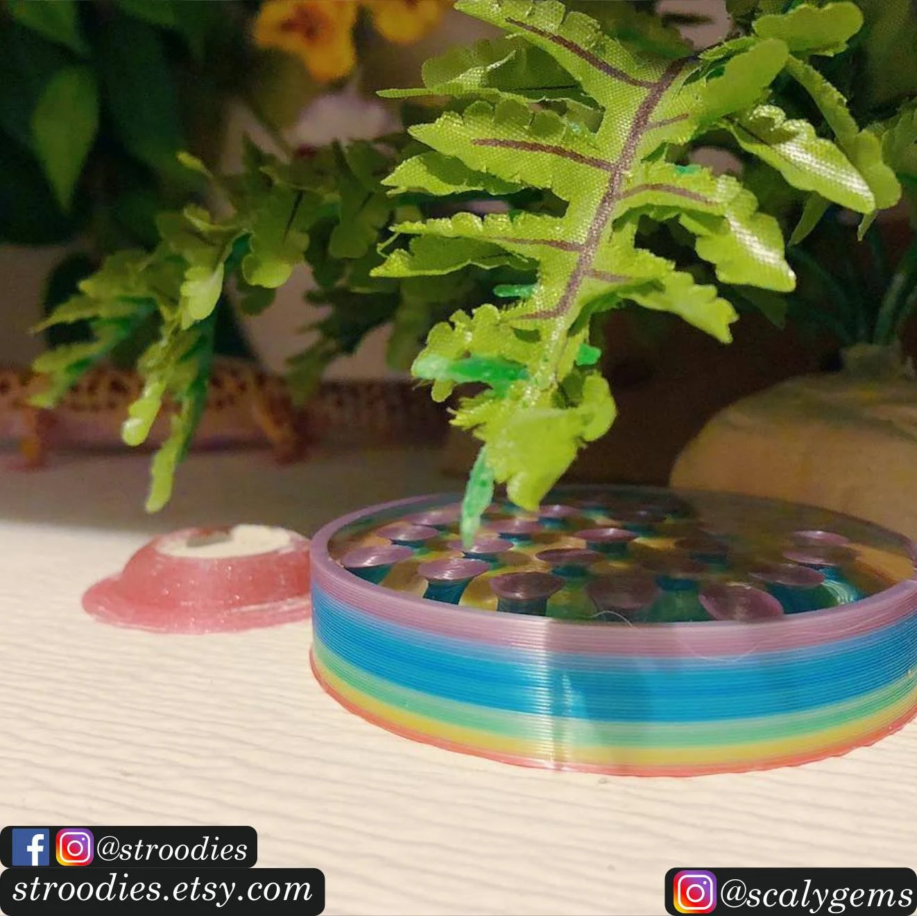 RainbowBigWater.png