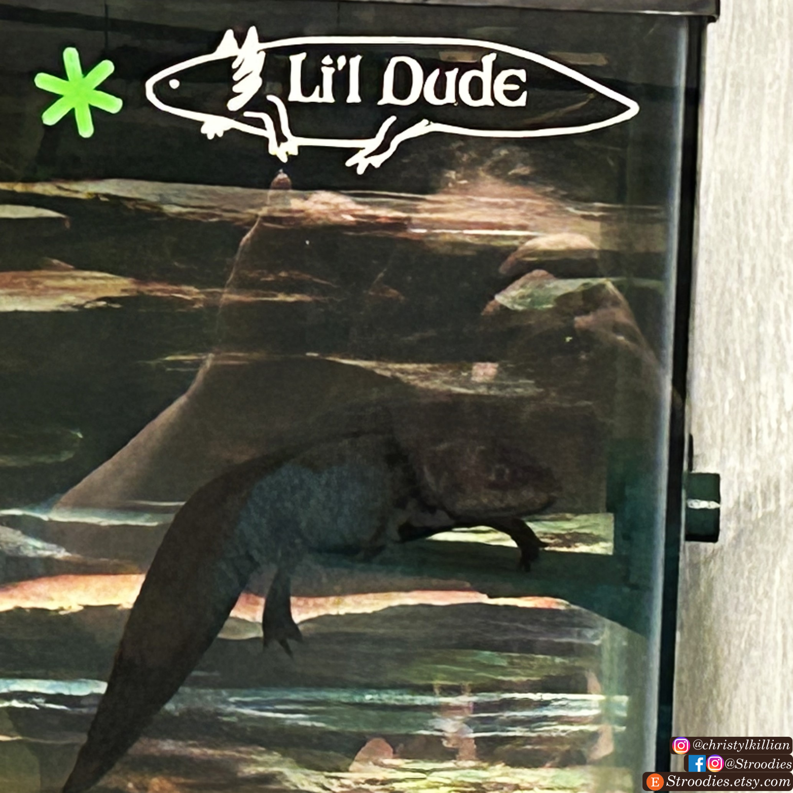 Lil Dude.png