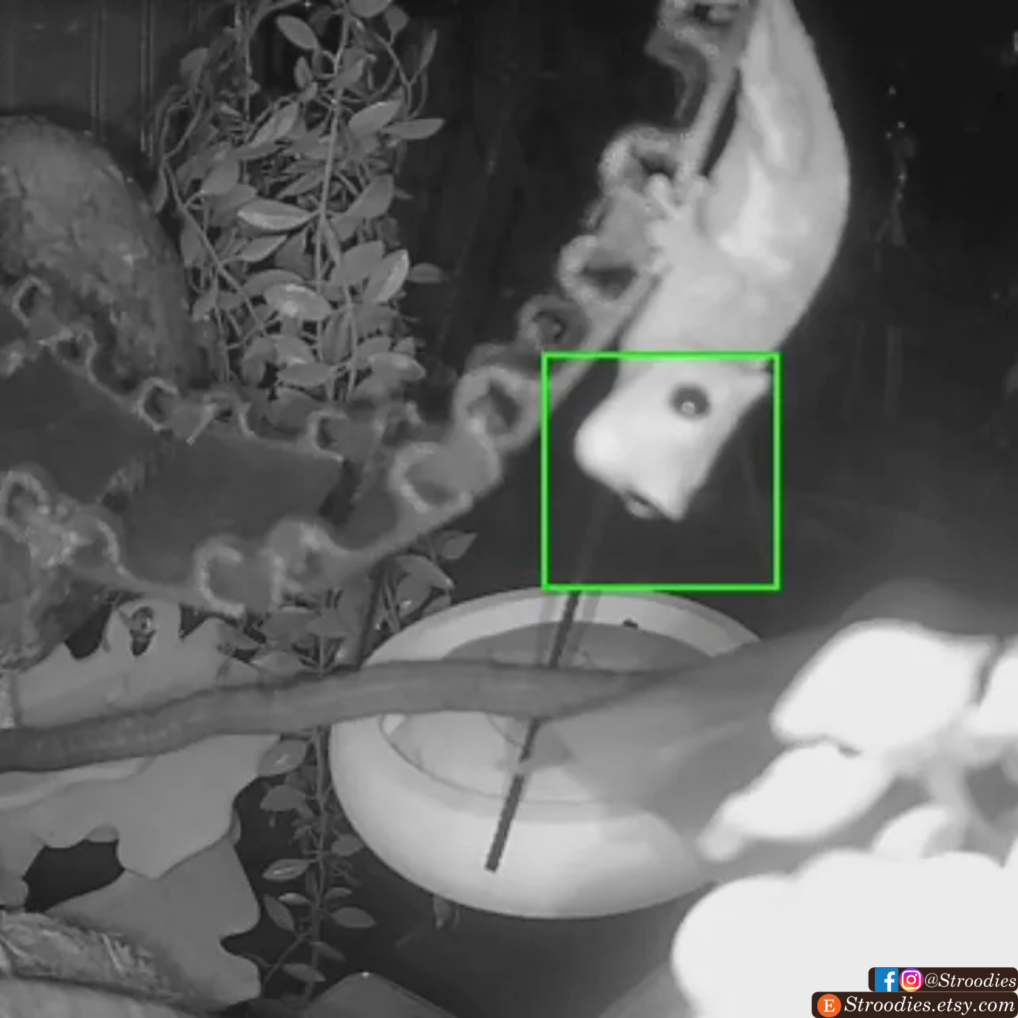 Bridge Nightvision.png