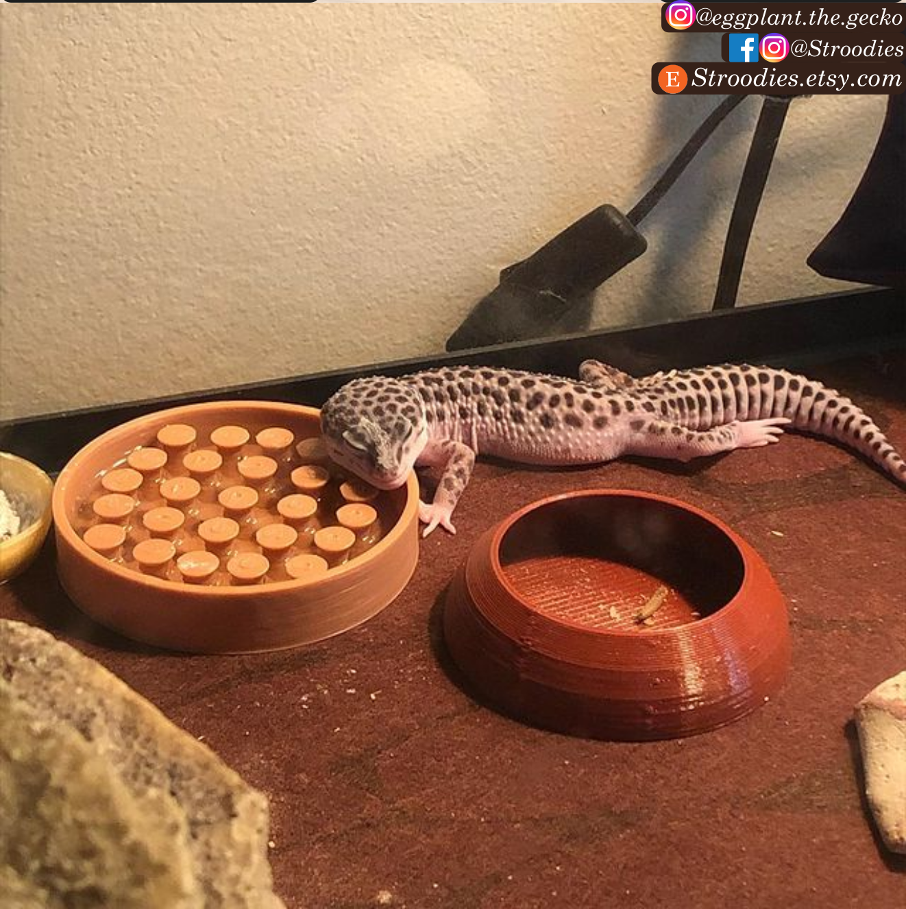 Eggplant Pumpkin Spice Big Water Sploot.png