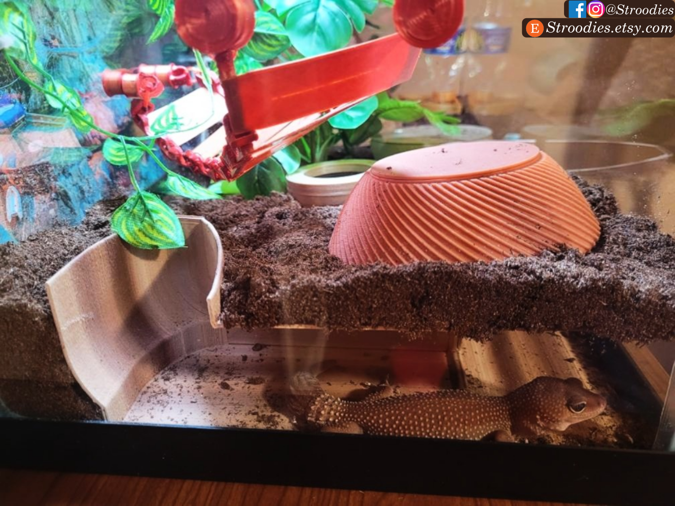 Deazh in Rocky Strata.png