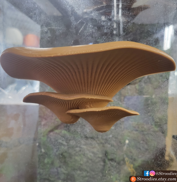 Sandbar Tan Mushroom Ledge.png