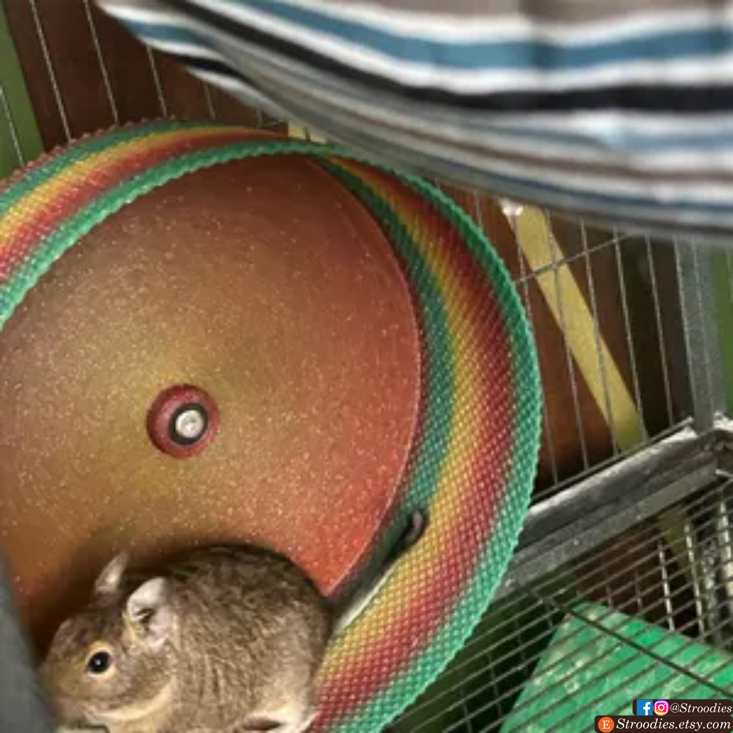Stroodies 10" smoothly-TEXTURED Magnetic Hanging Hamster Wheel (v10.2)