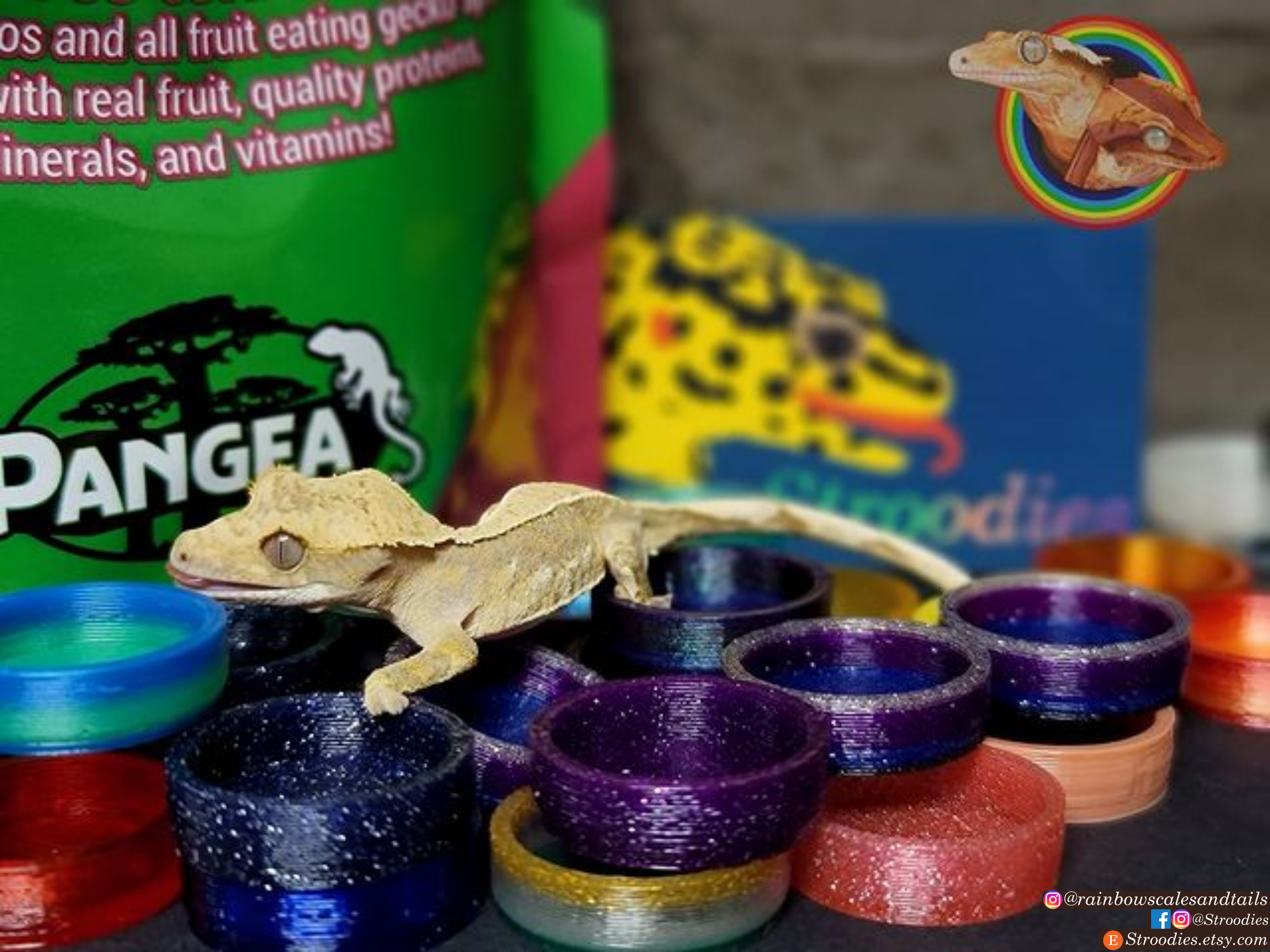Assorted Caps.png
