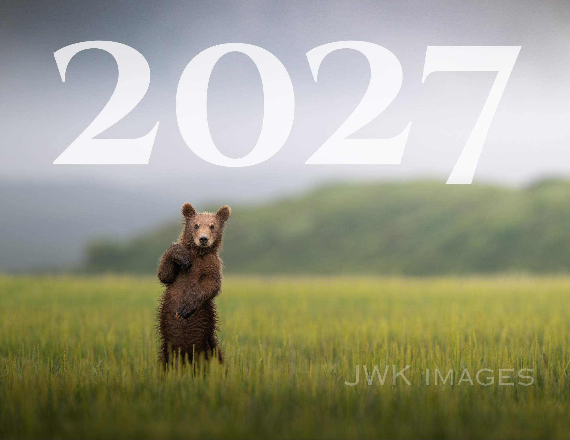 2027.PNG