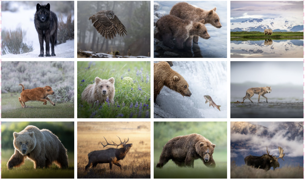Image 8-27-26 at 12.34 PM.PNG