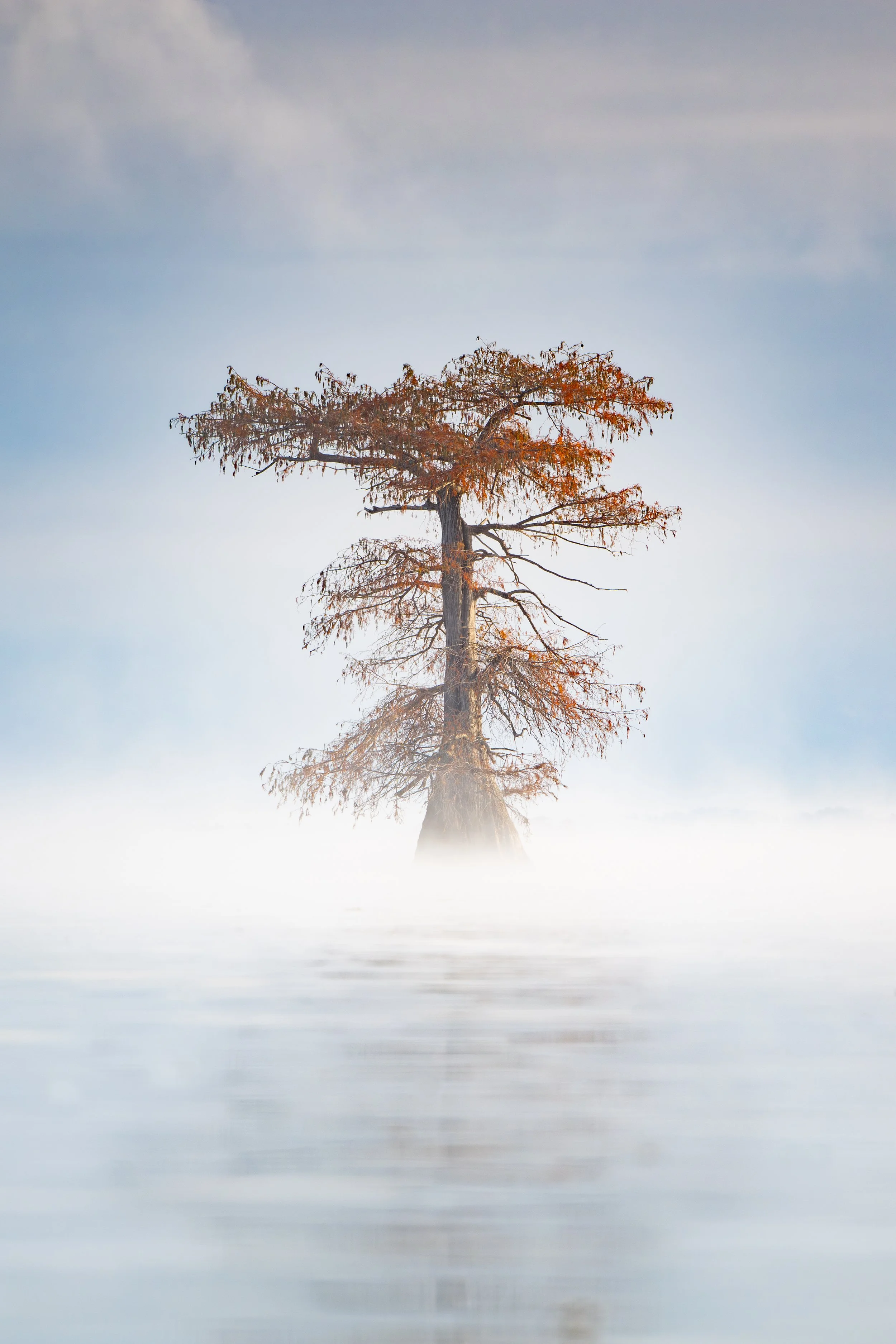 2025-11-20 [Southern Cypress Swamps Caddo Lake - Jon Kuiper]-26.jpg