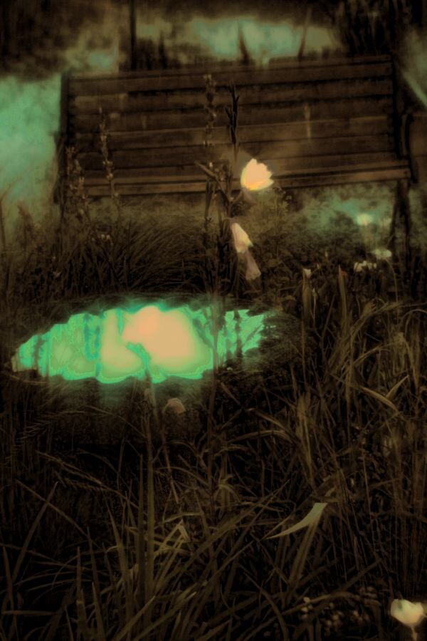 Dreamagon Flower Images 907 Sepia Soft Tone.jpg