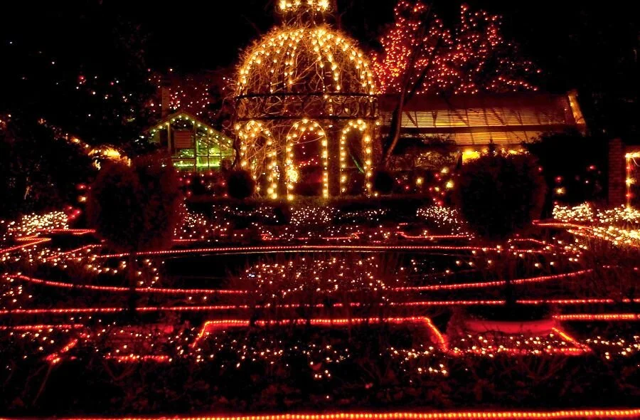 Park 'N' Tilford Gardens (Xmas-time).JPG