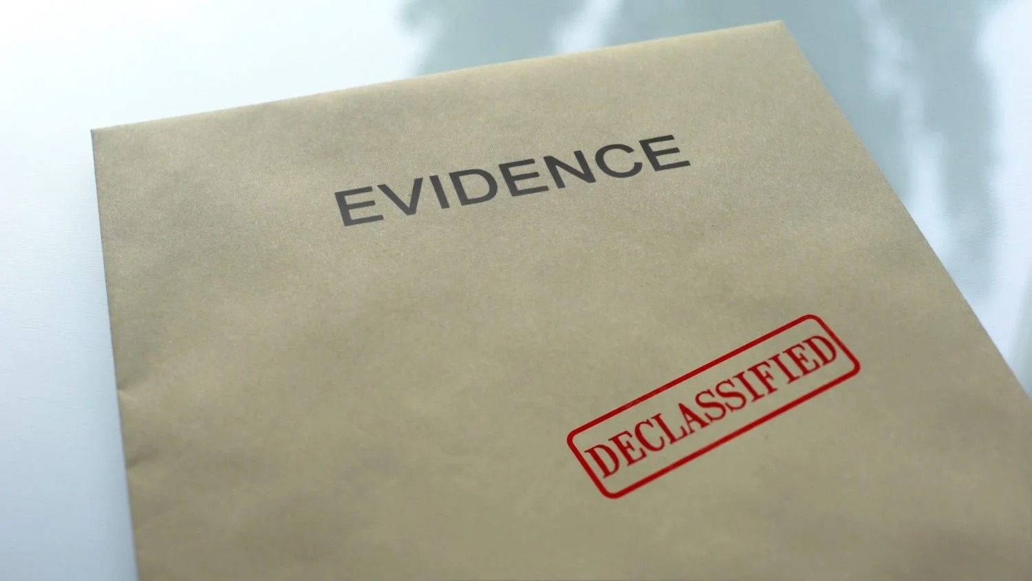 The Role of an Attorney in Shaping the Evidentiary Record and Discretionary Argument