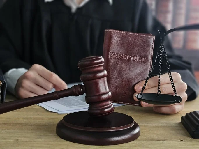 Immigration Adjudications