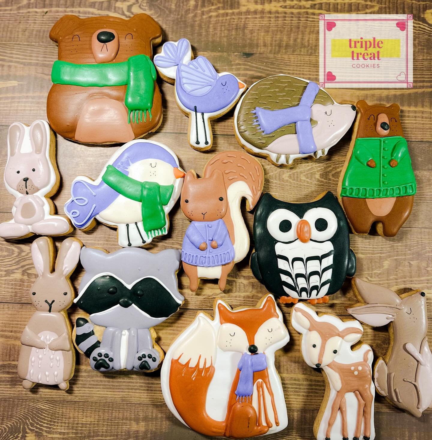 All the woodland creatures getting ready for the cold weather 
#tripletreatcookies
#woodlandcookies
#sacramentocookies