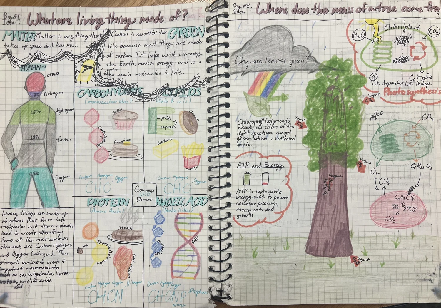 Study Notes Drawing Sketchnoting: A Better Way To Take Notes — Weibert Science