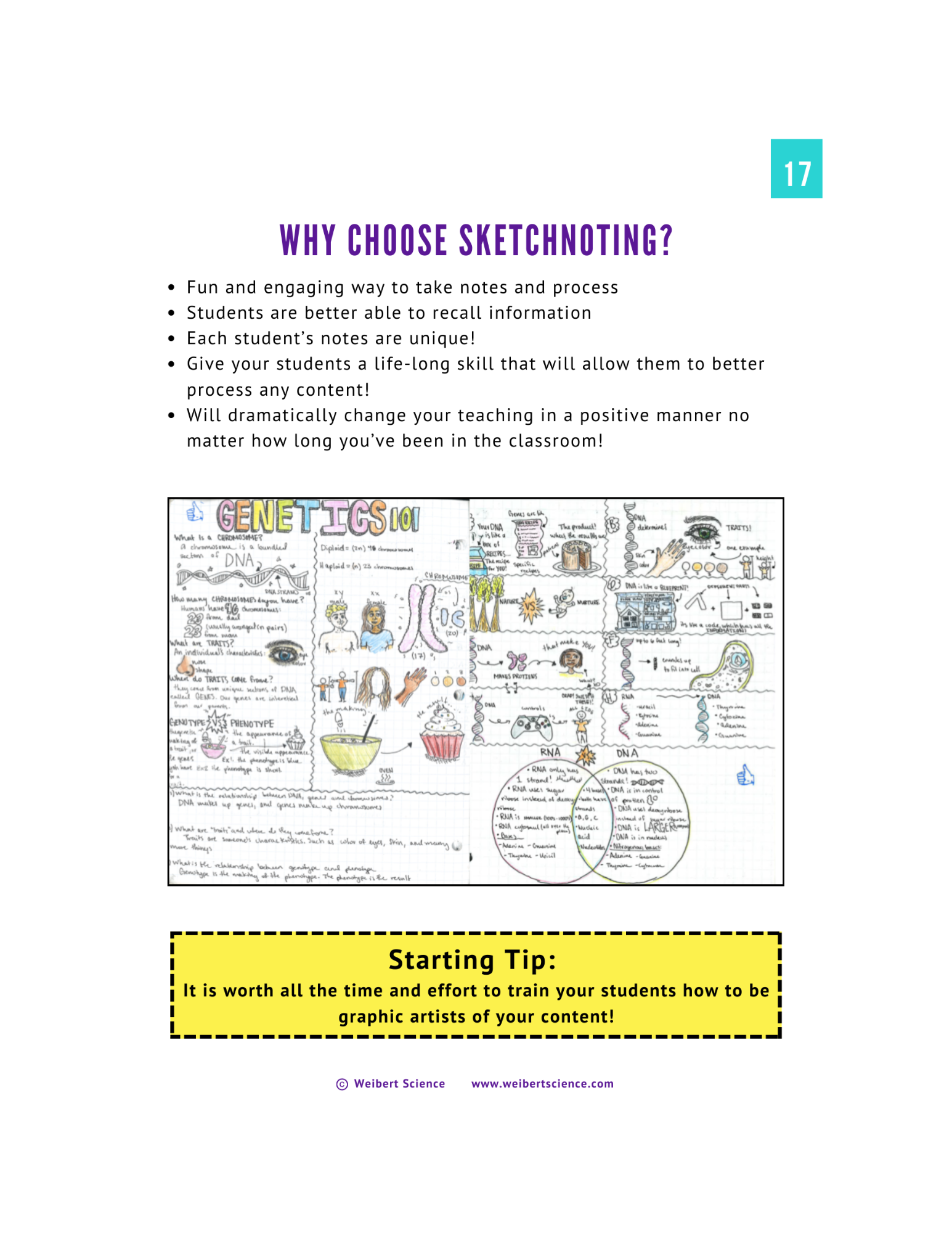eBook-Notebooks-Weibert Science (2).png